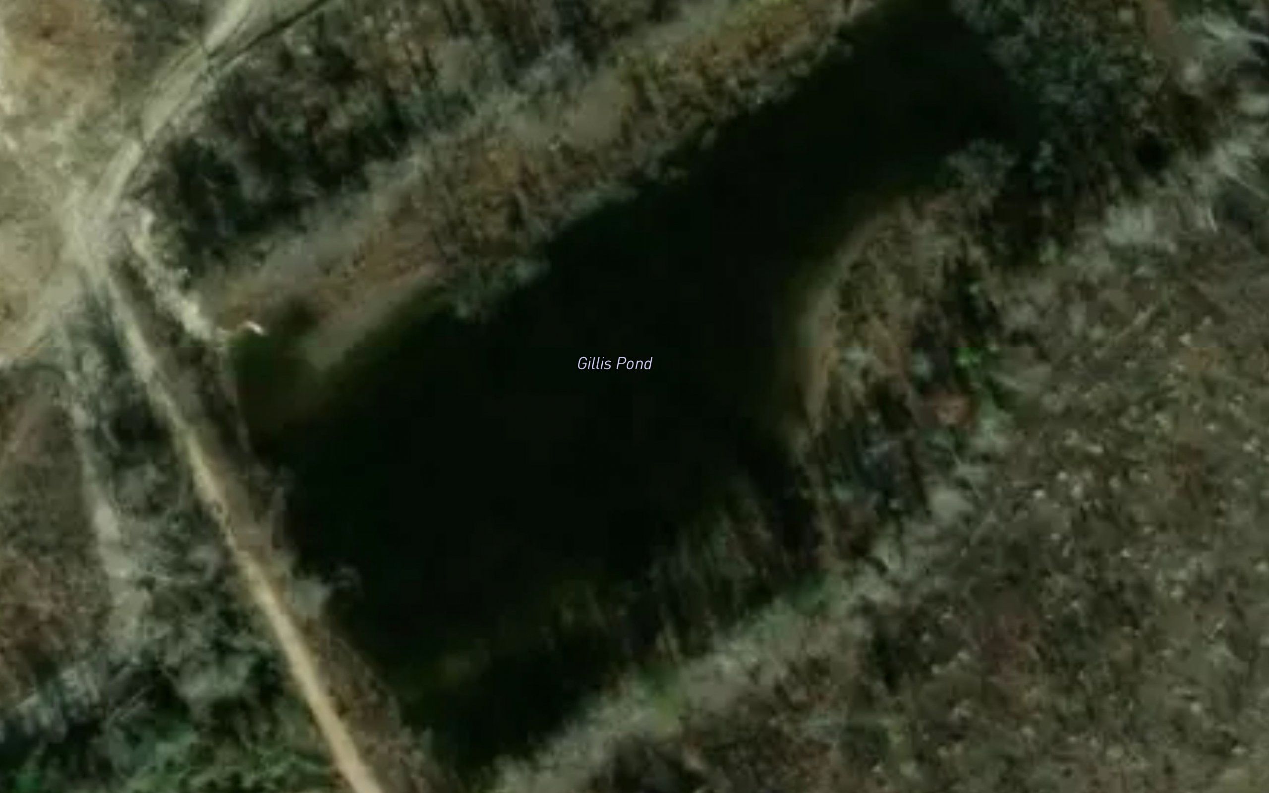 Gillis Pond