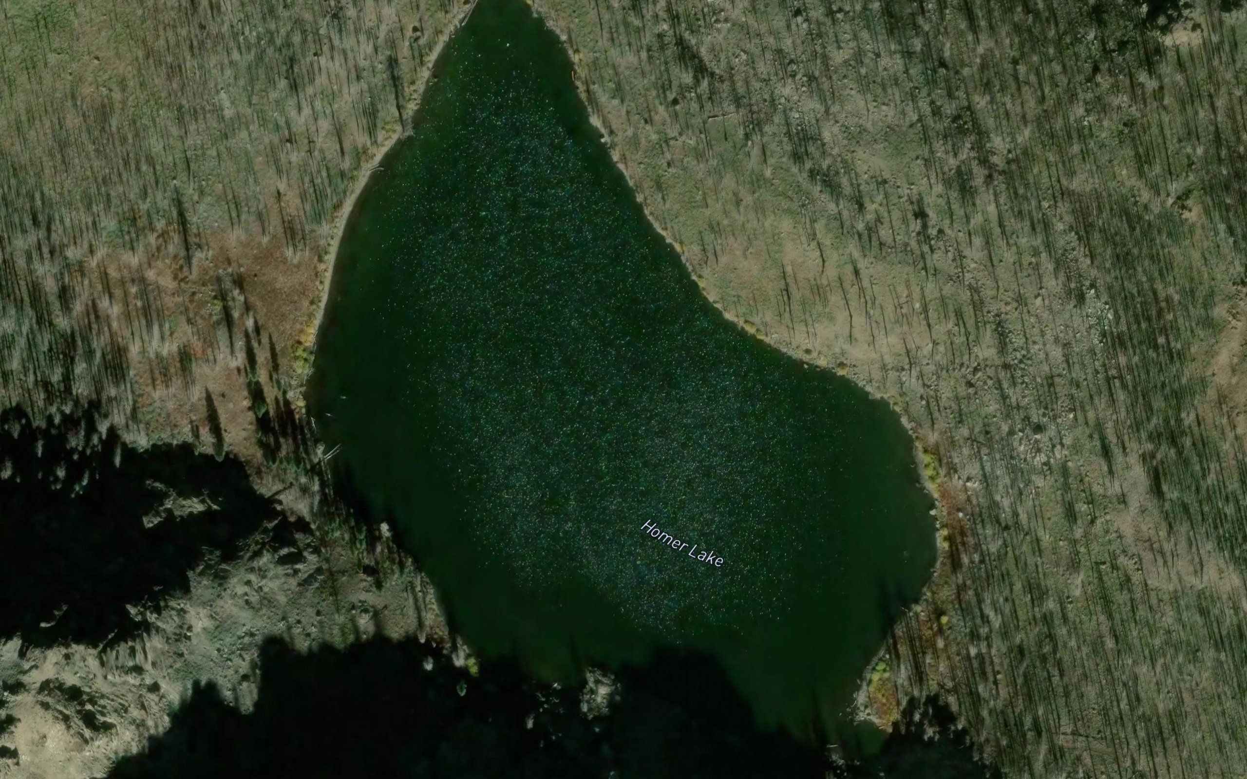 Homer Lake