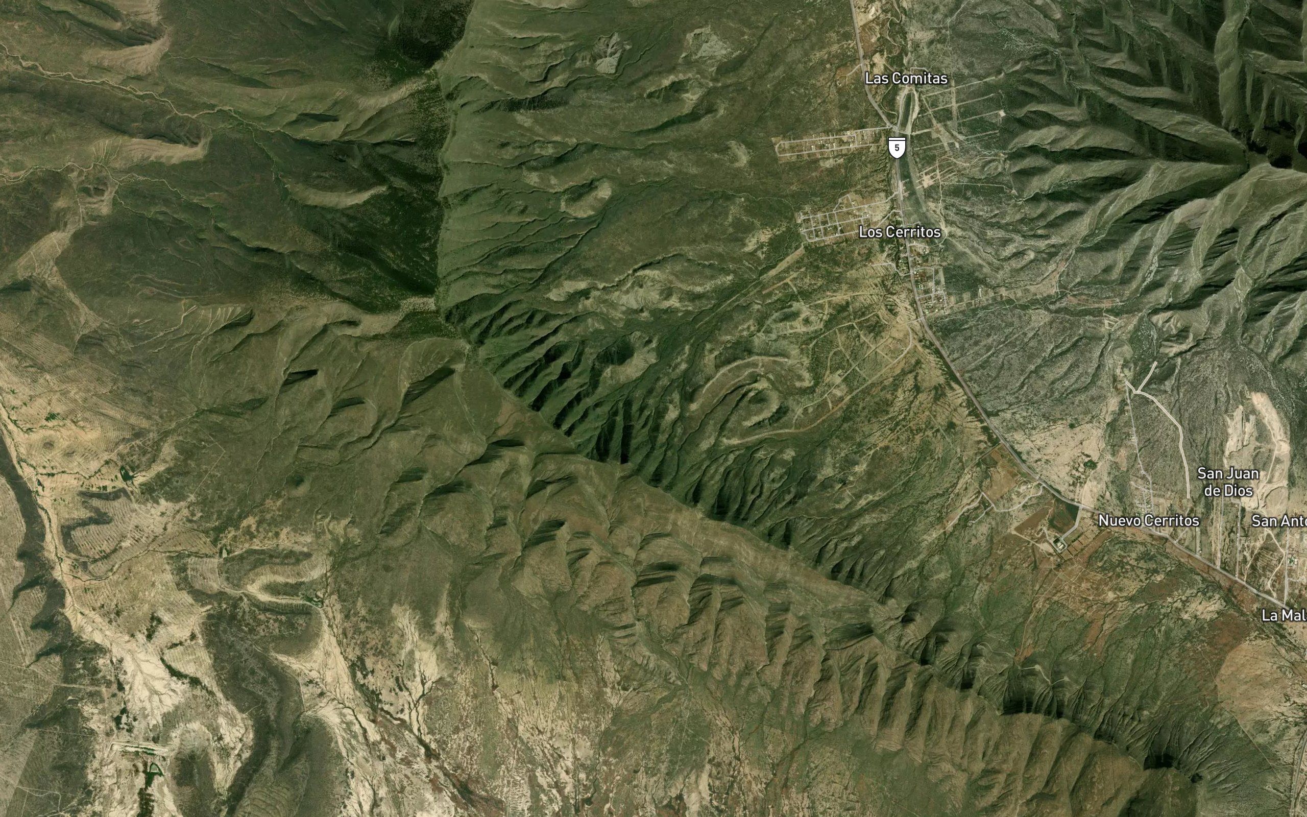 La Lagartija