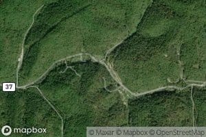 Doublelick Branch