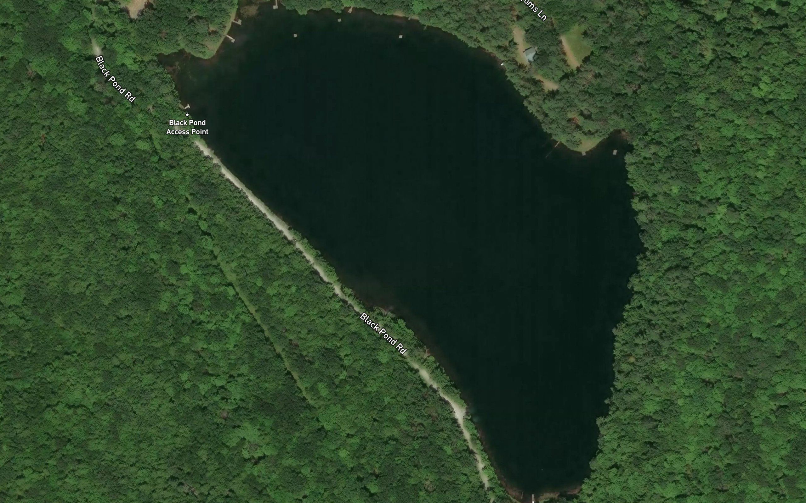 Black Pond