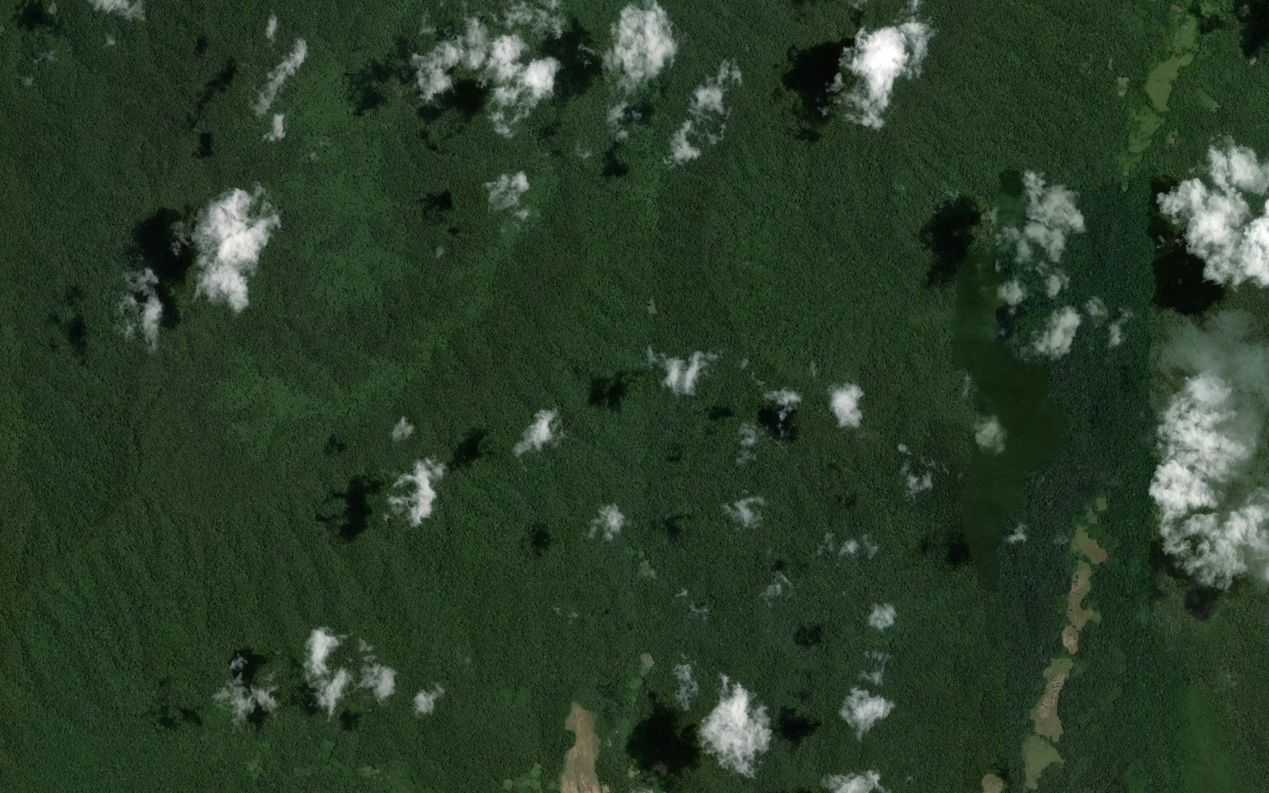 Rio Panari