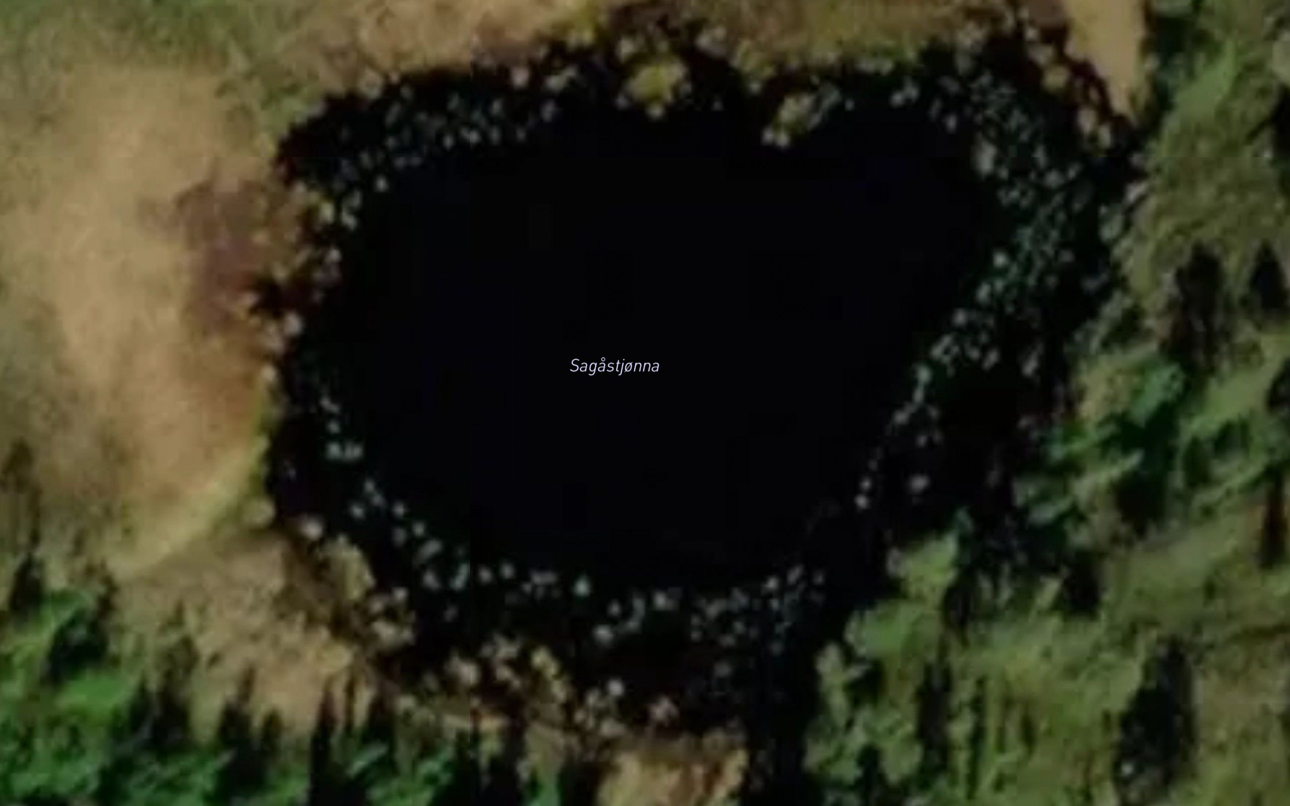 Sagastjorna