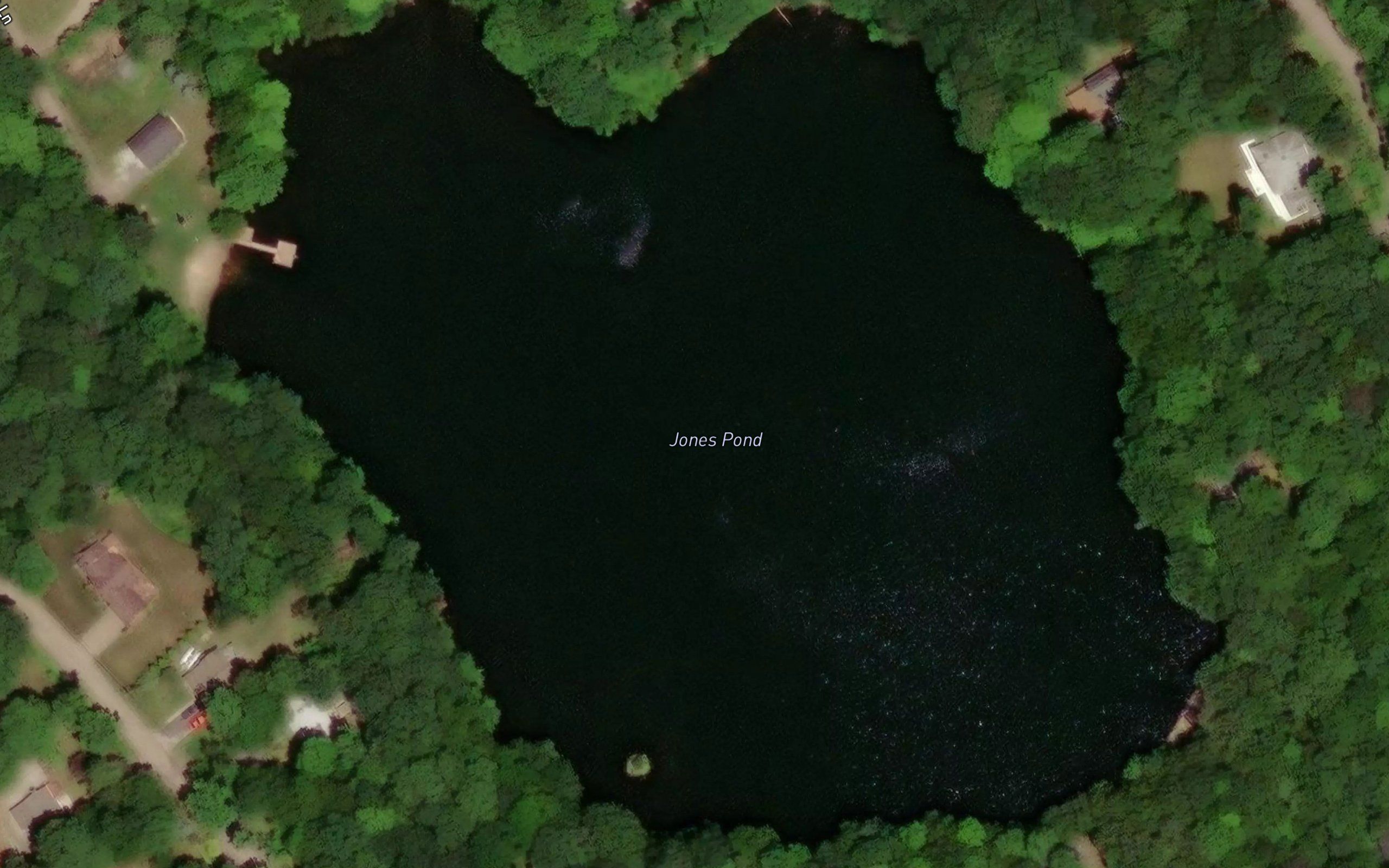 Jones Pond