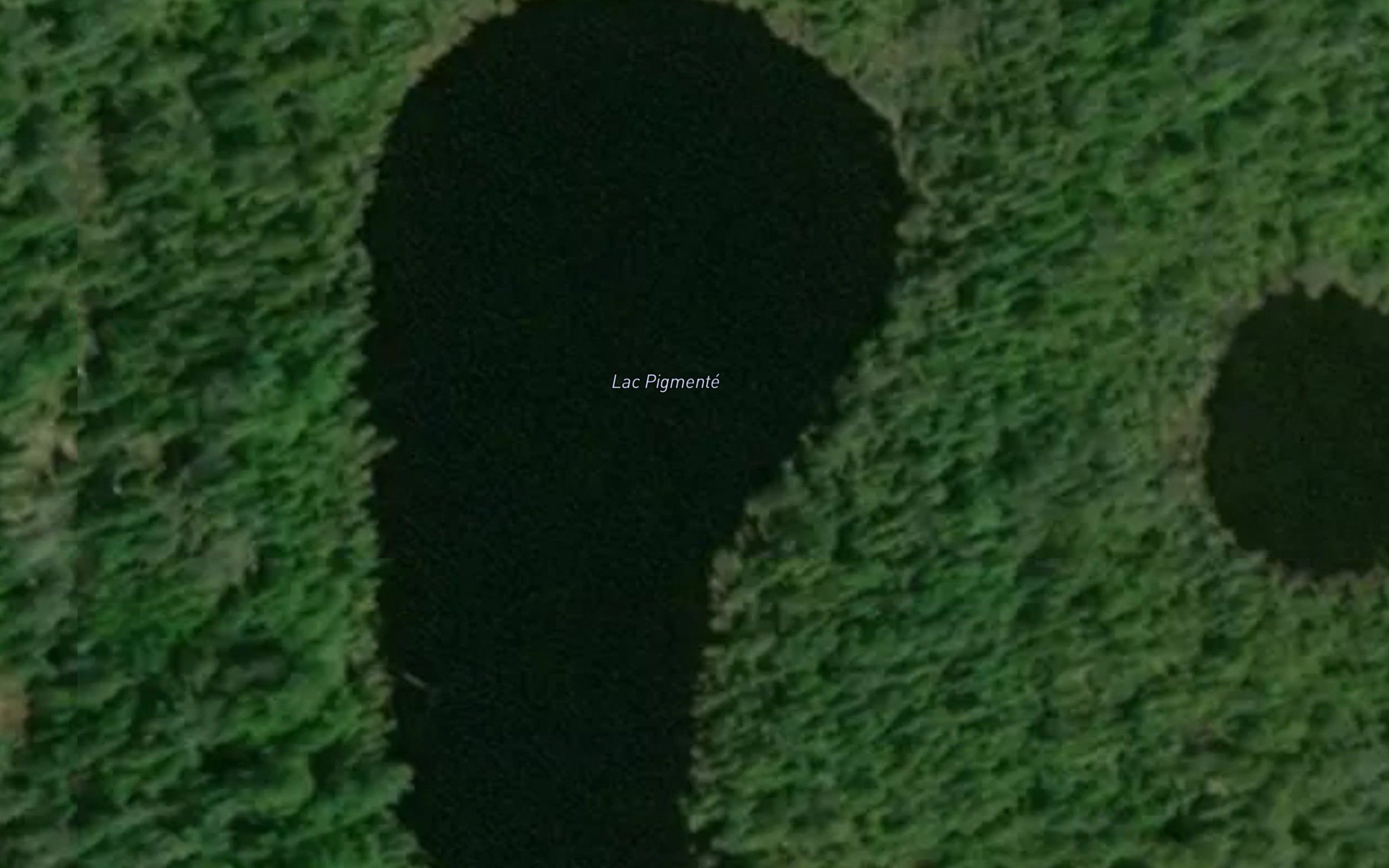 Lac Pigmente