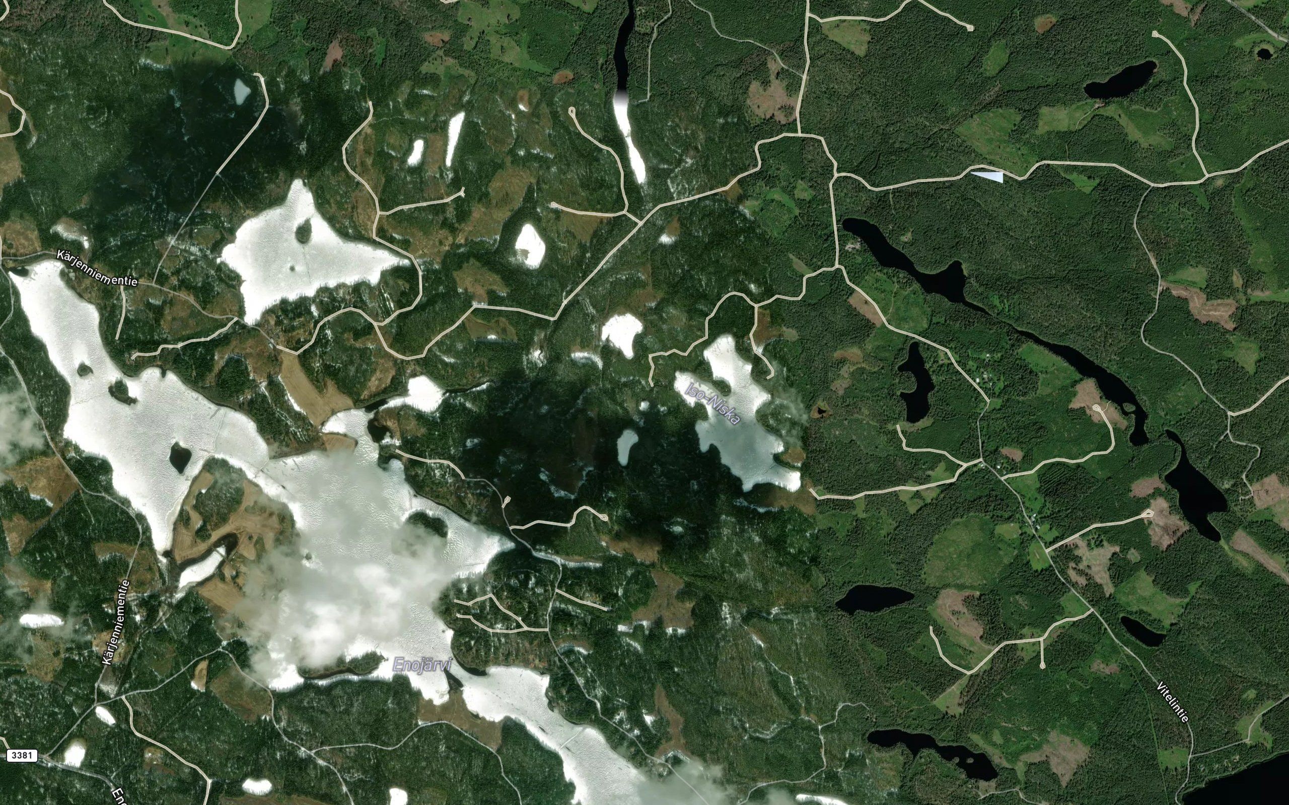 Silmakelammi