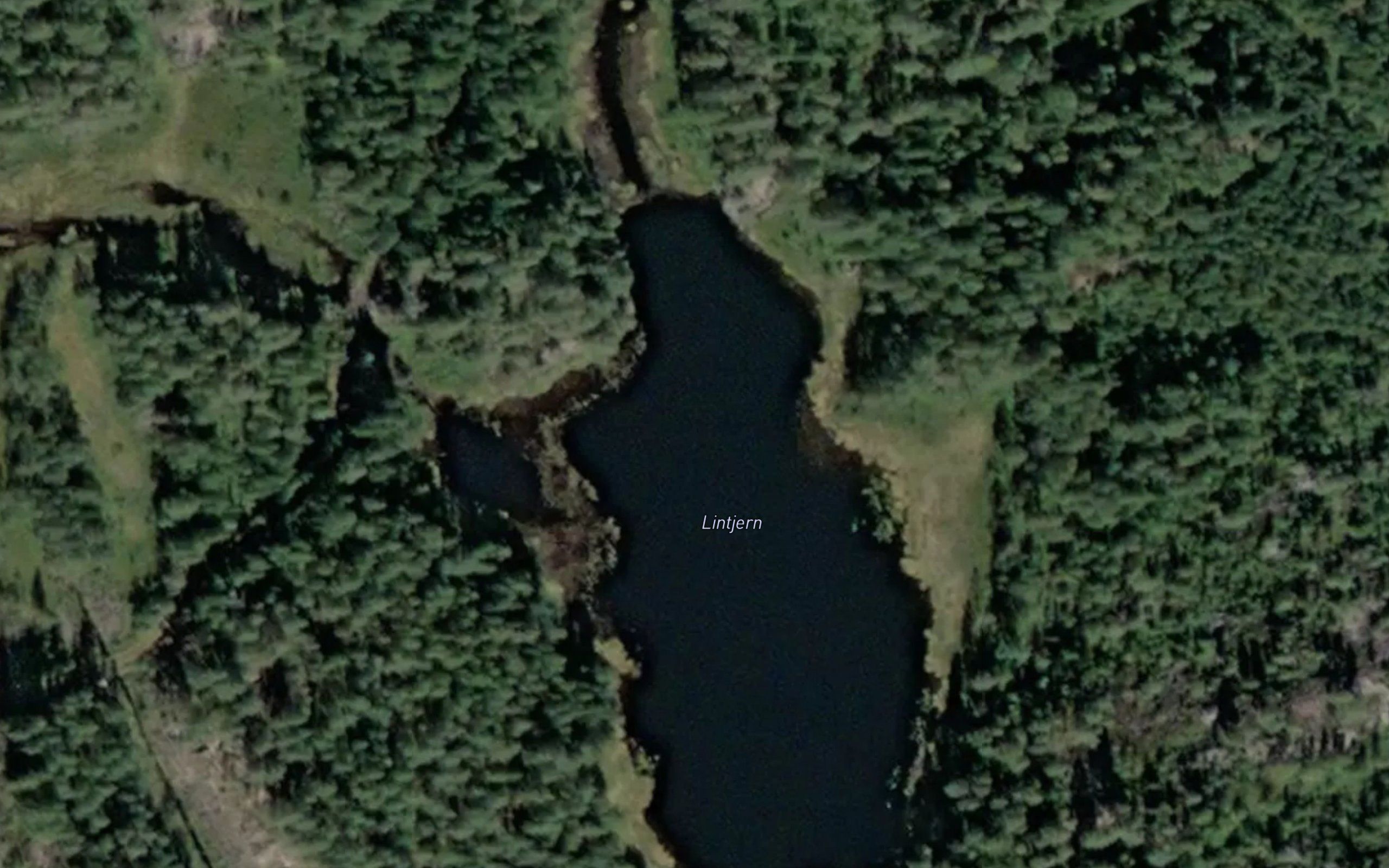 Lintjenn
