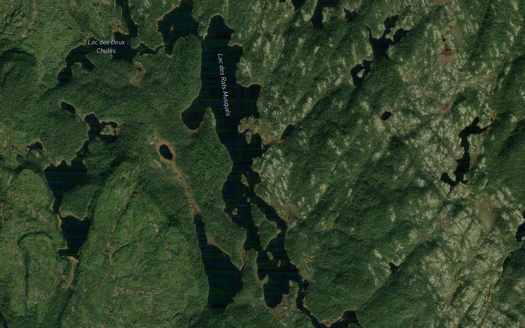 Satellite map of the Lac des Rats Musques