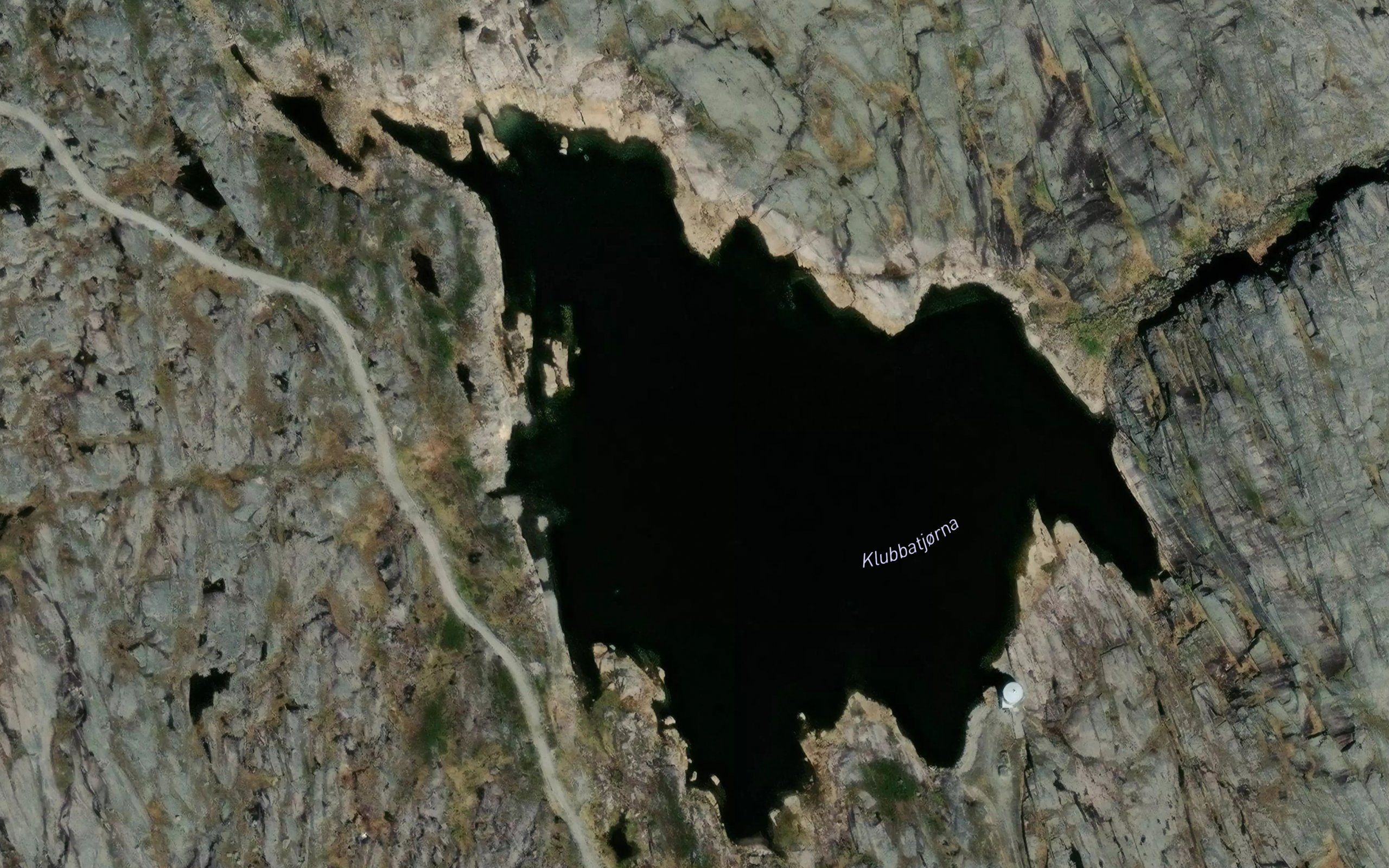 Klubbatjorna