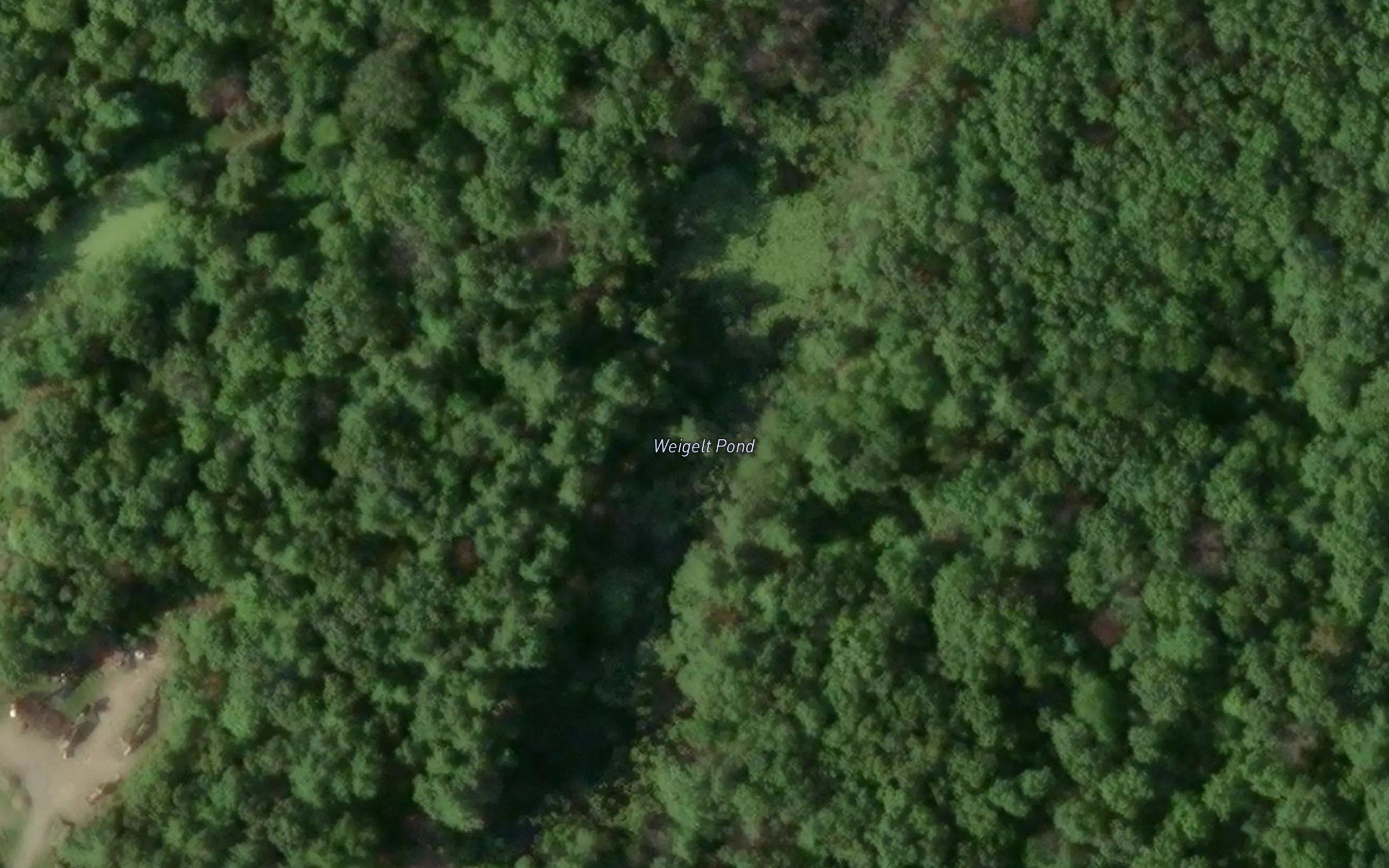 Weigelt Pond