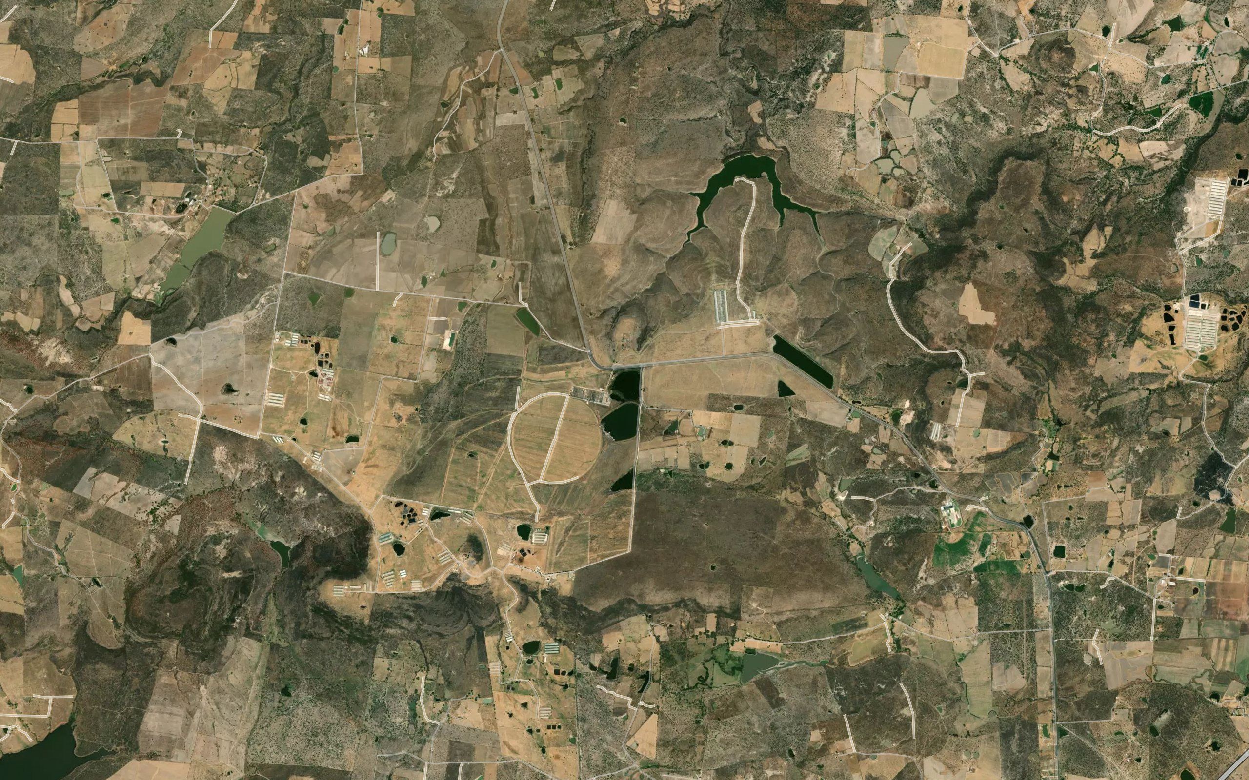 La Colmena