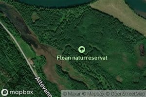Korskvisla