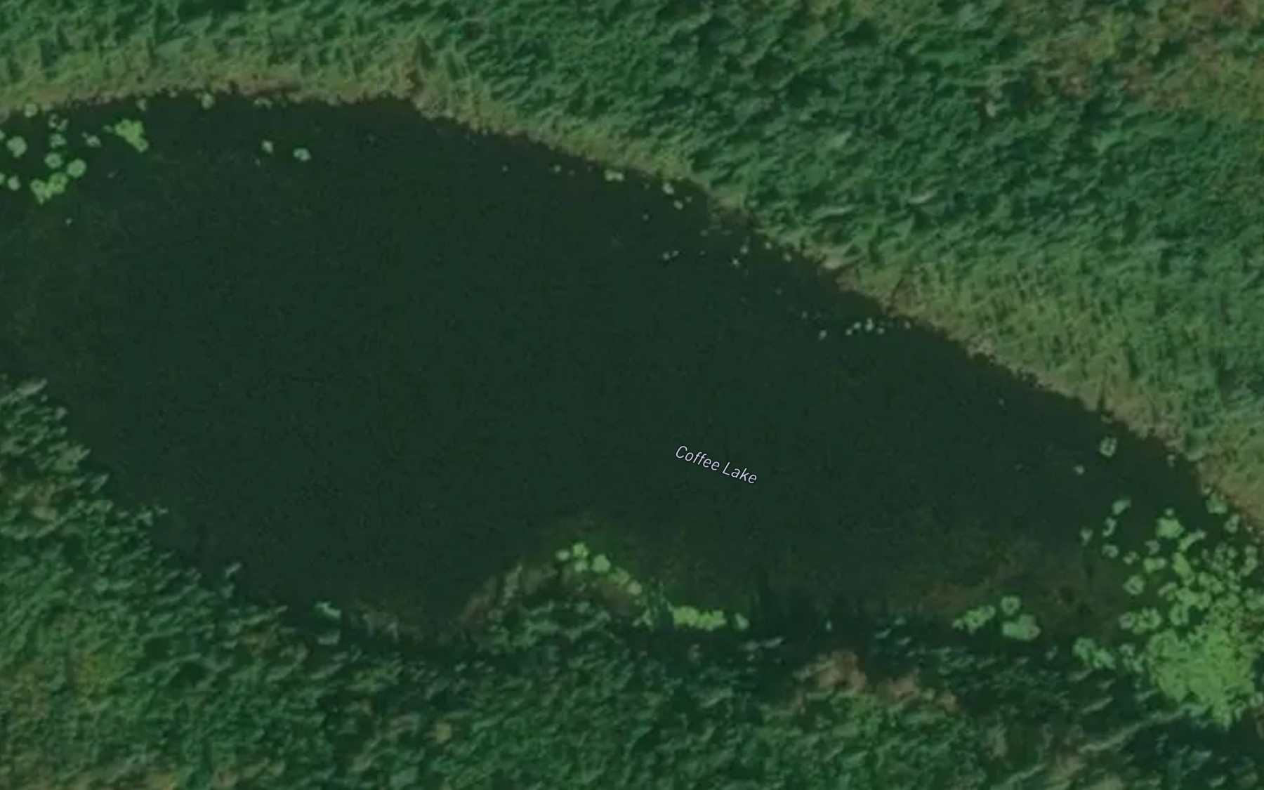 Satellite map of the Coffee Lake