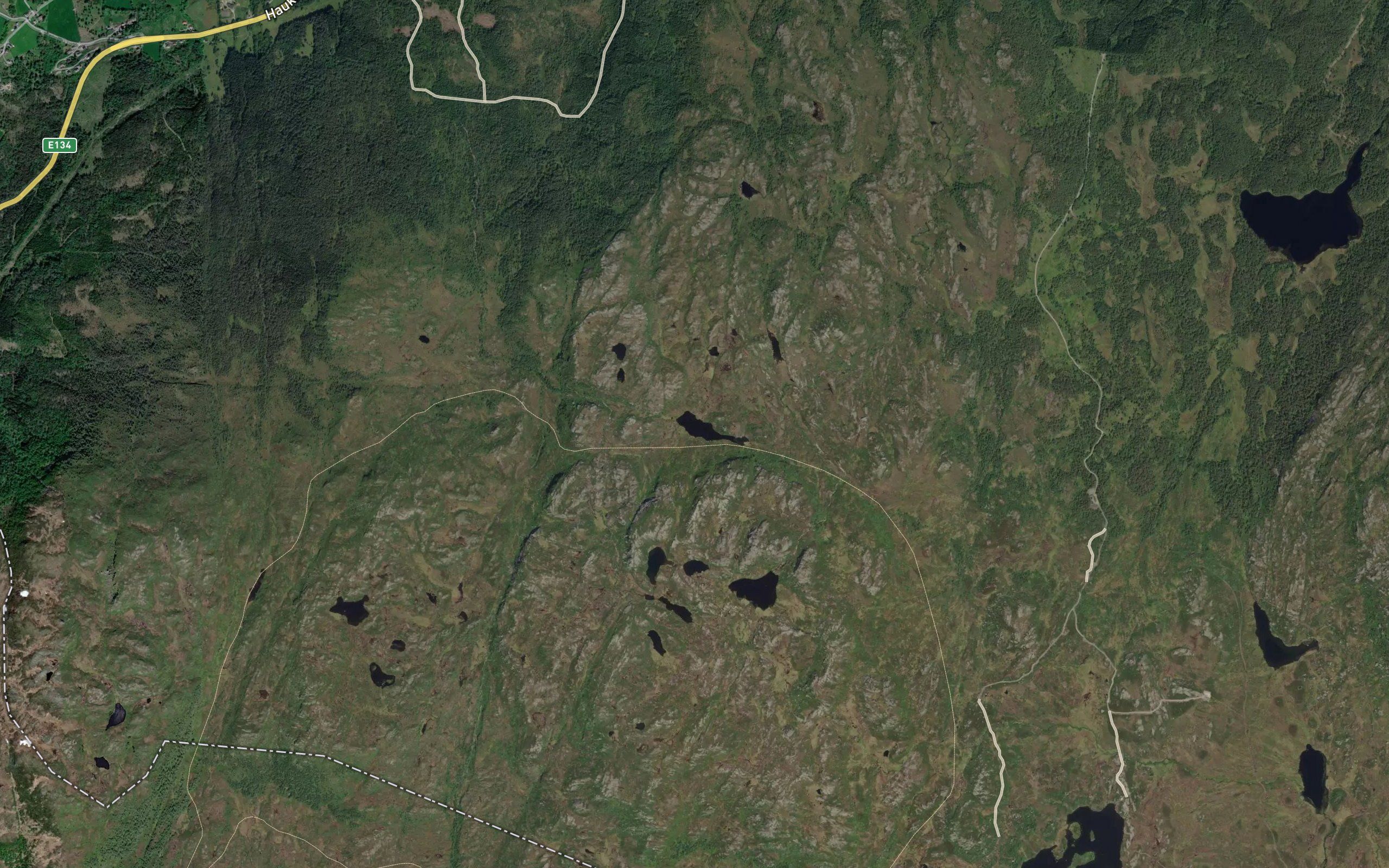 Palstjorna