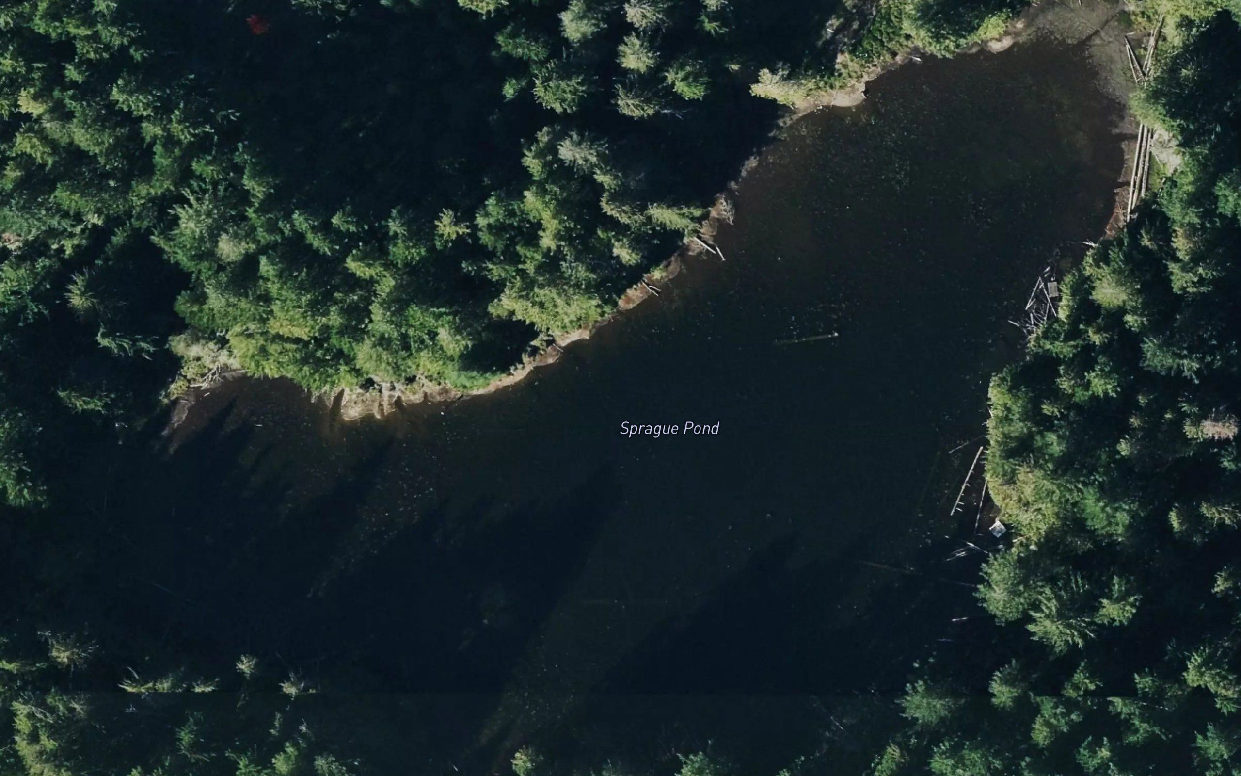 Sprague Pond
