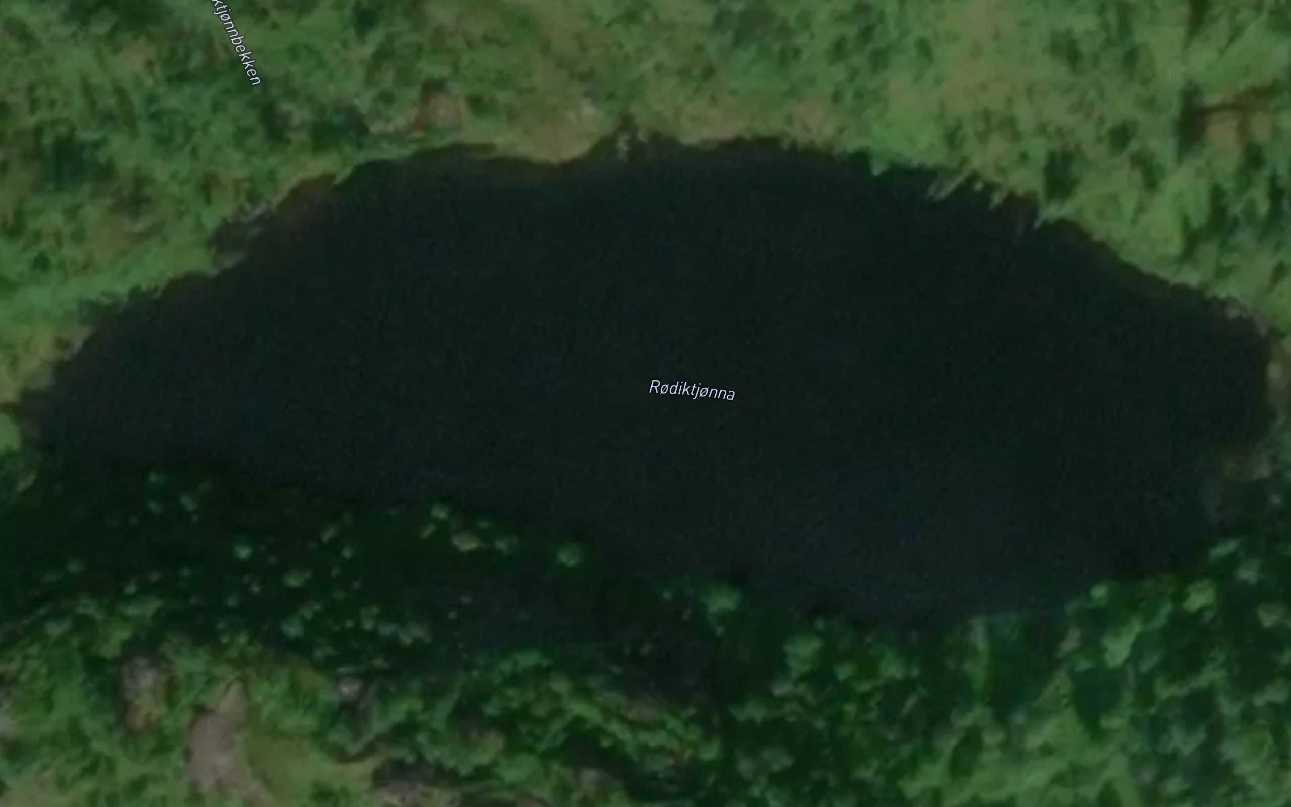 Rodiktjonna