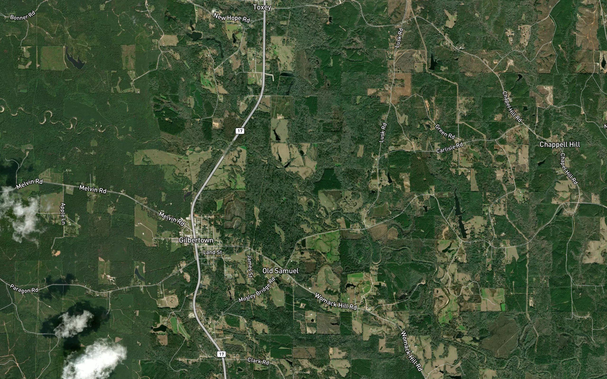 Bogueloosa Creek
