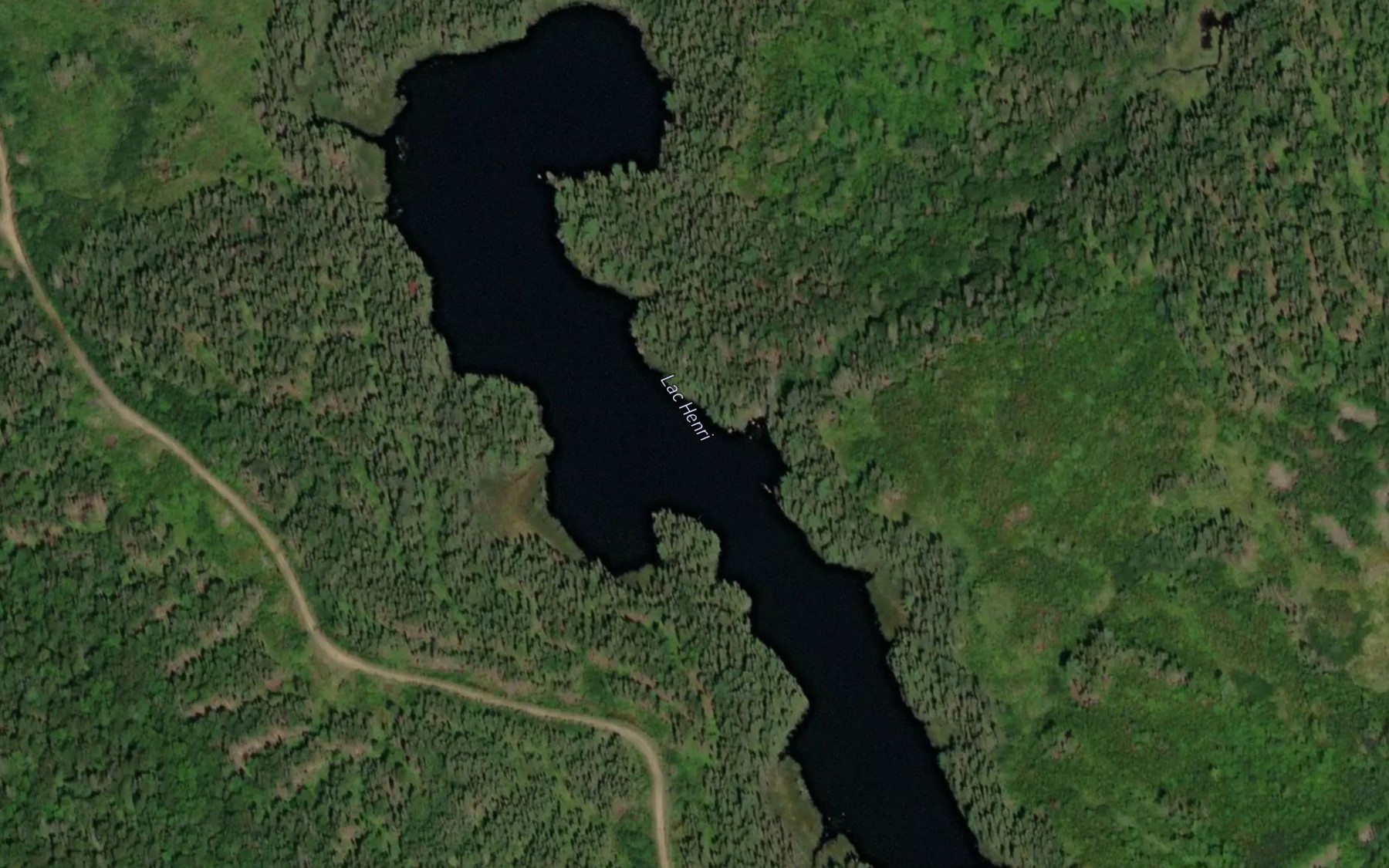 Satellite map of the Lac Henri