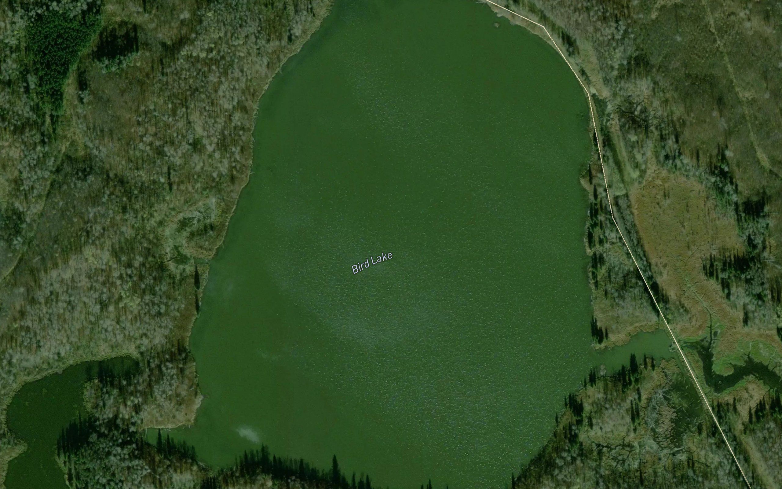Bird Lake