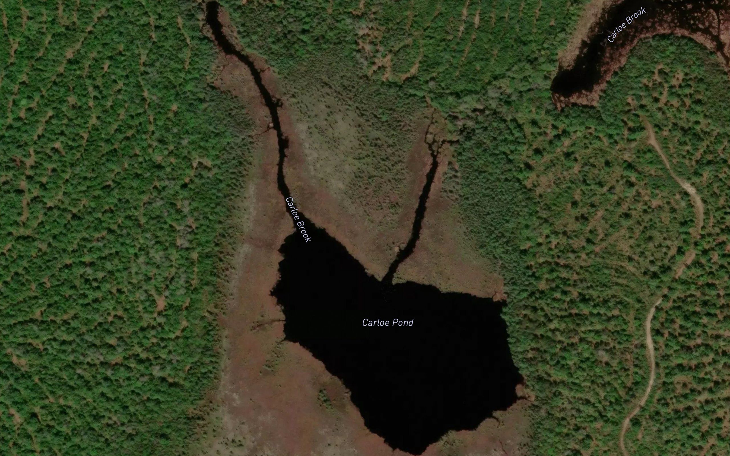 Carloe Pond