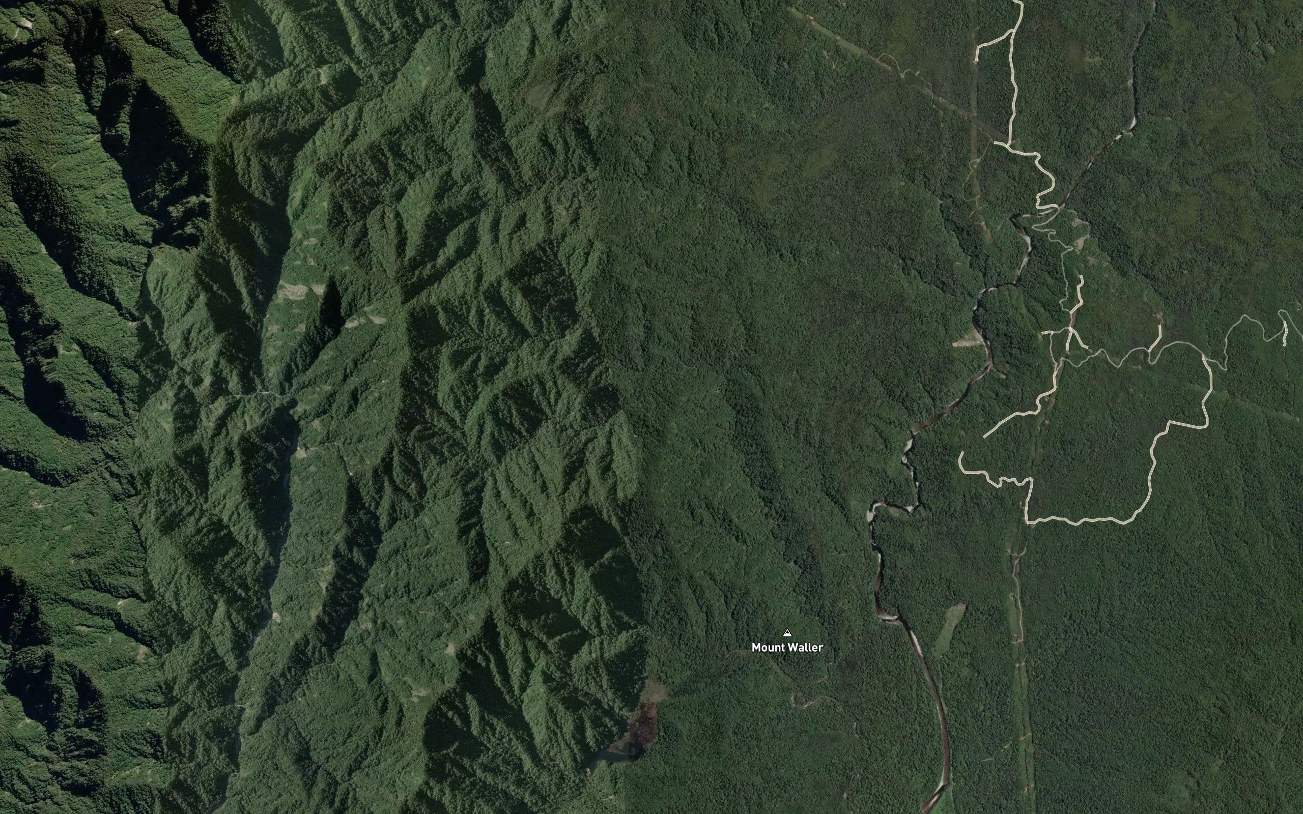 Rahui Creek