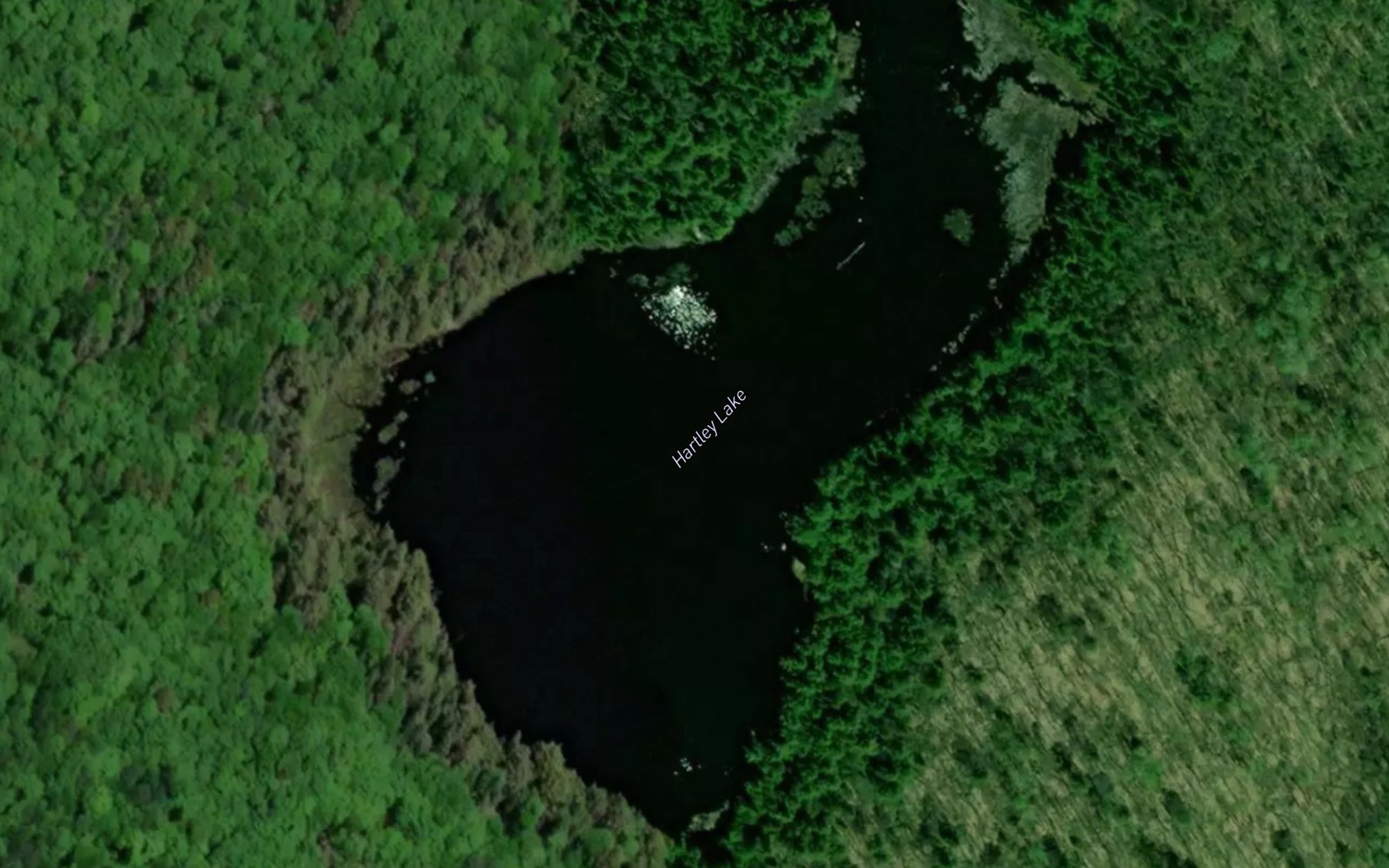 Satellite map of the Hartley Lake