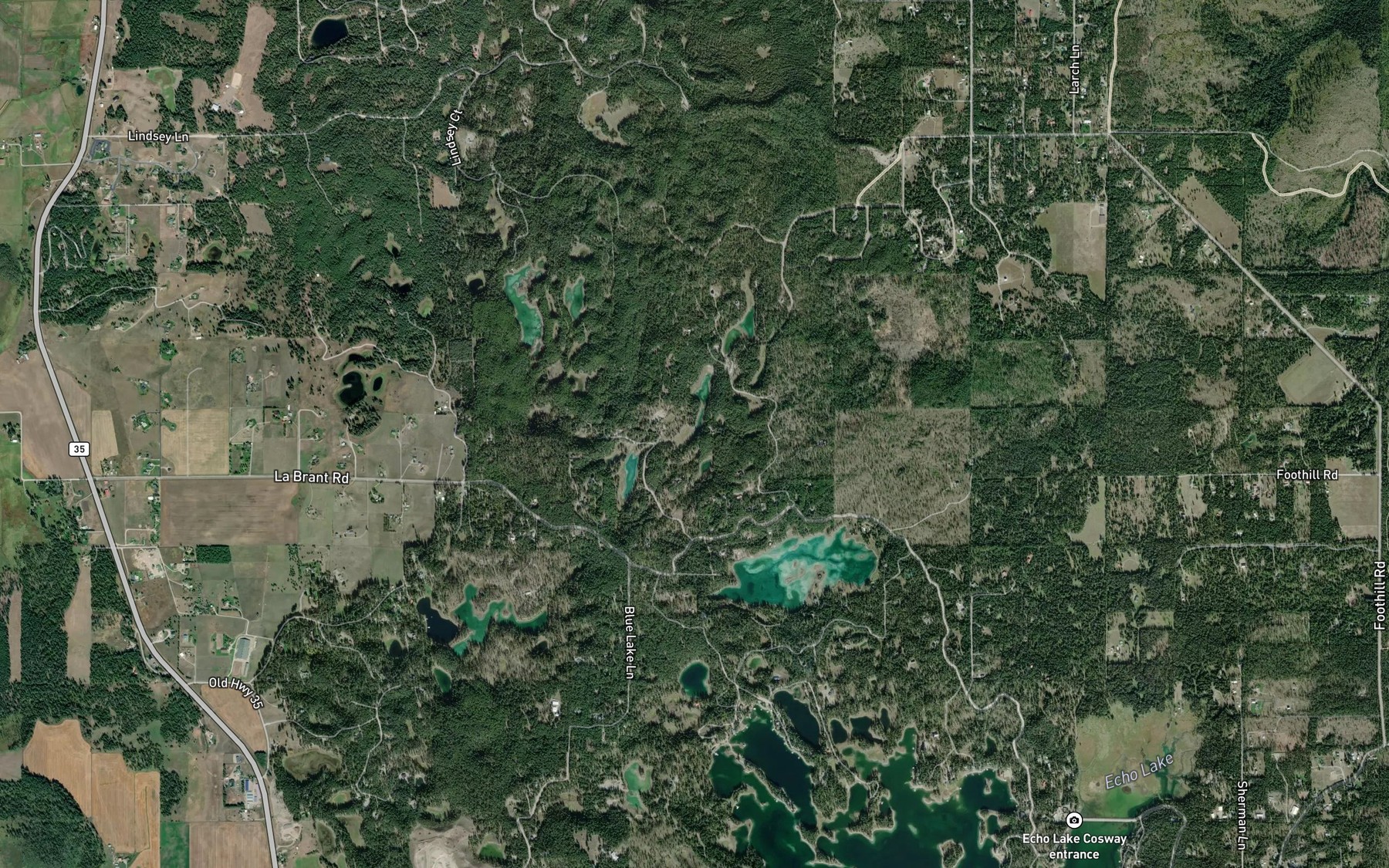 Satellite map of the Cougar Lake