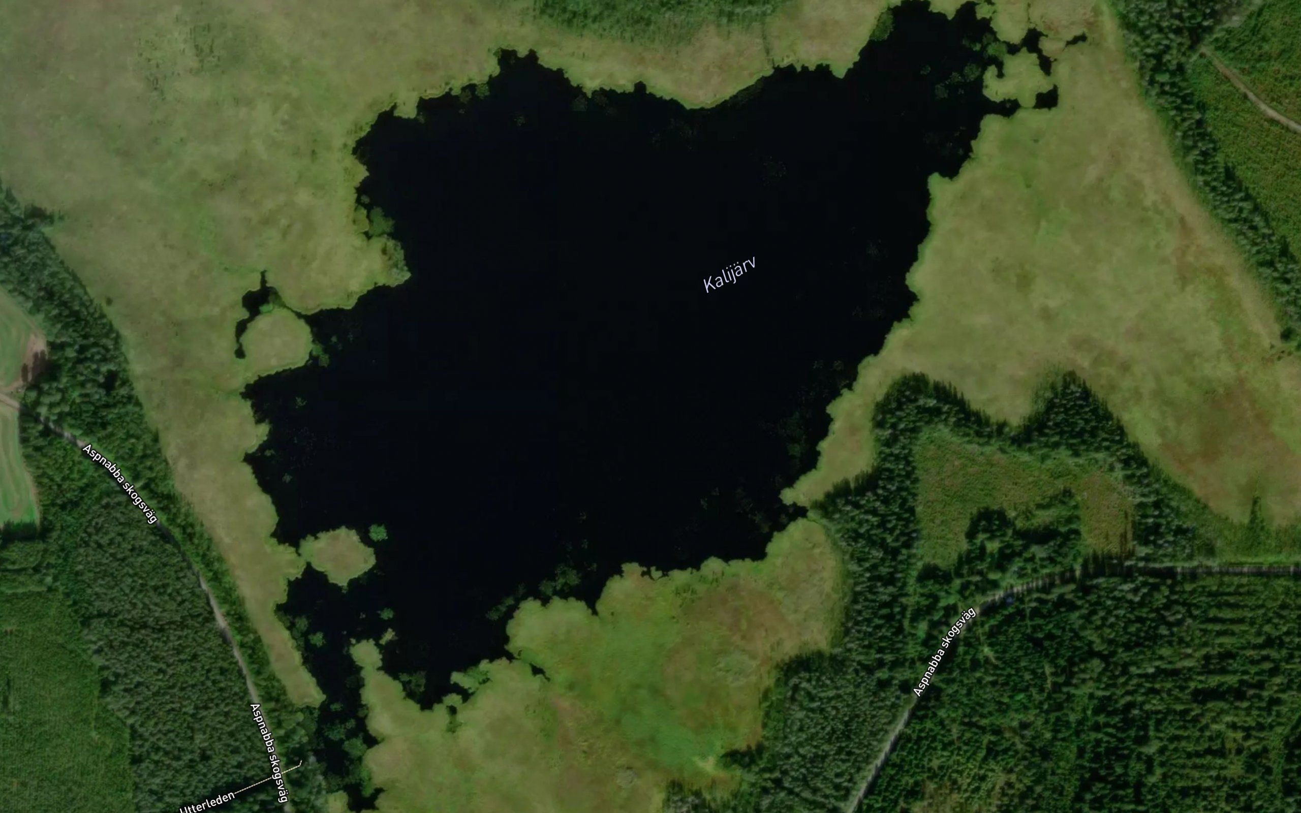 Kalijarv