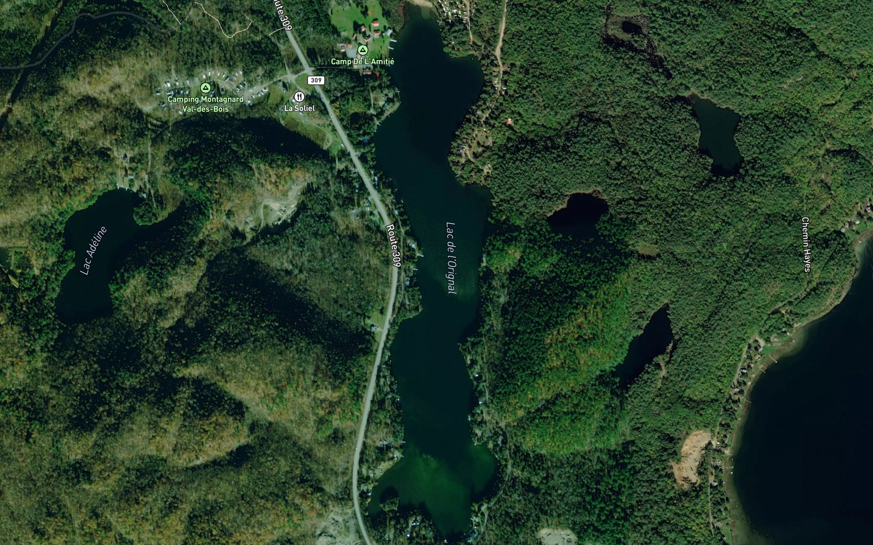 Satellite map of the Lac de l'Orignal