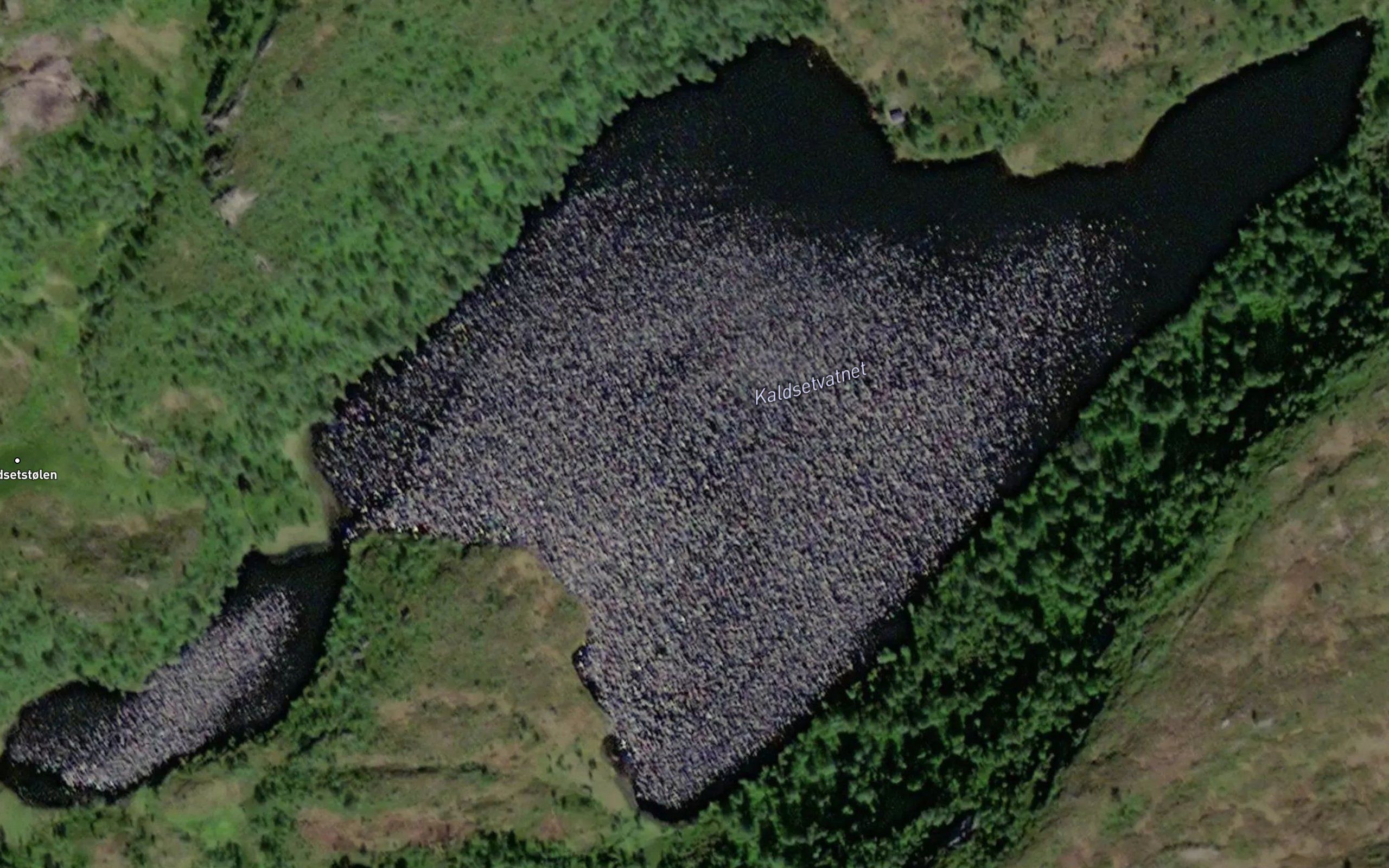 Kaldsetvatnet