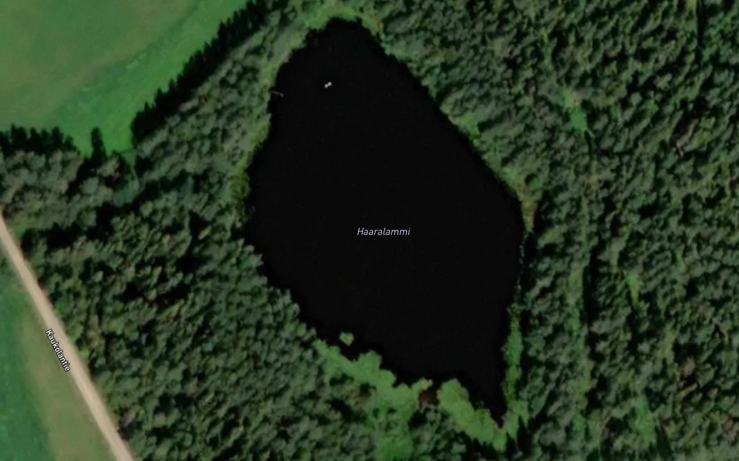 Haaralammi
