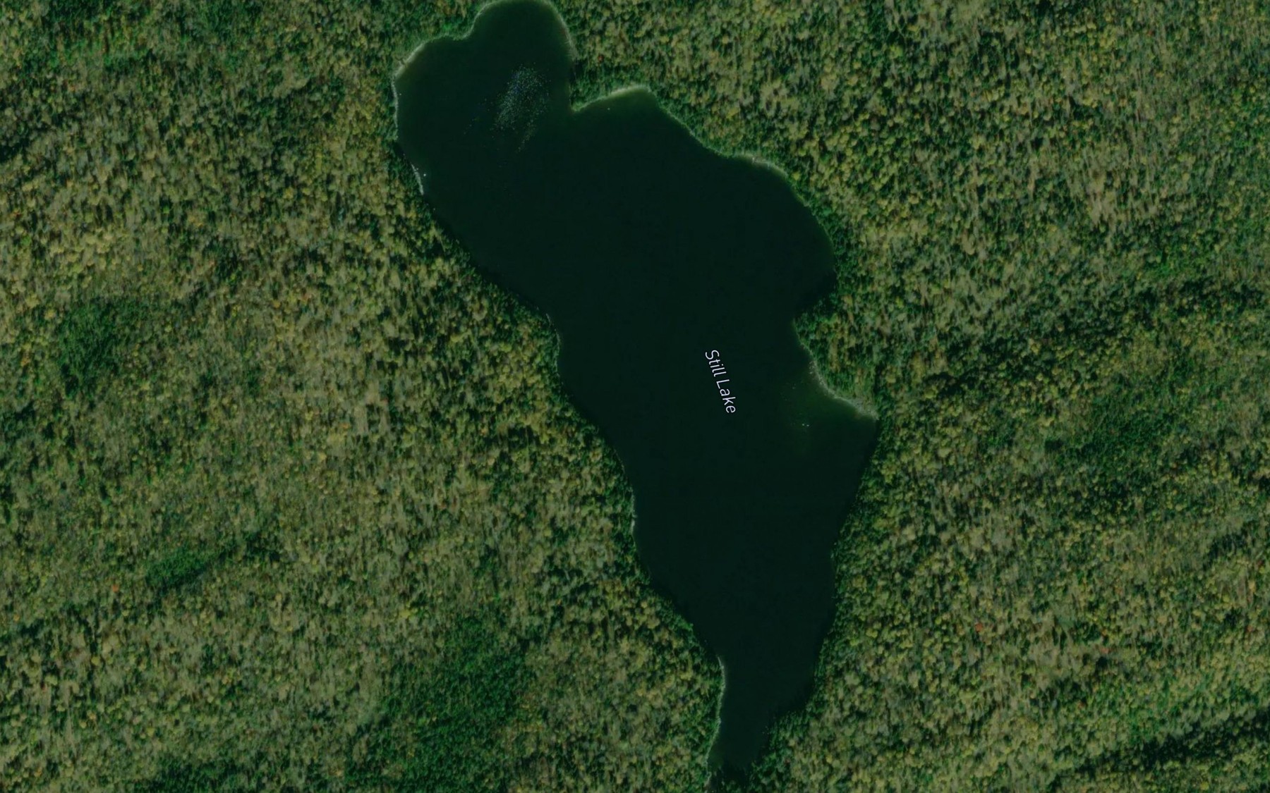 Satellite map of the Still Lake