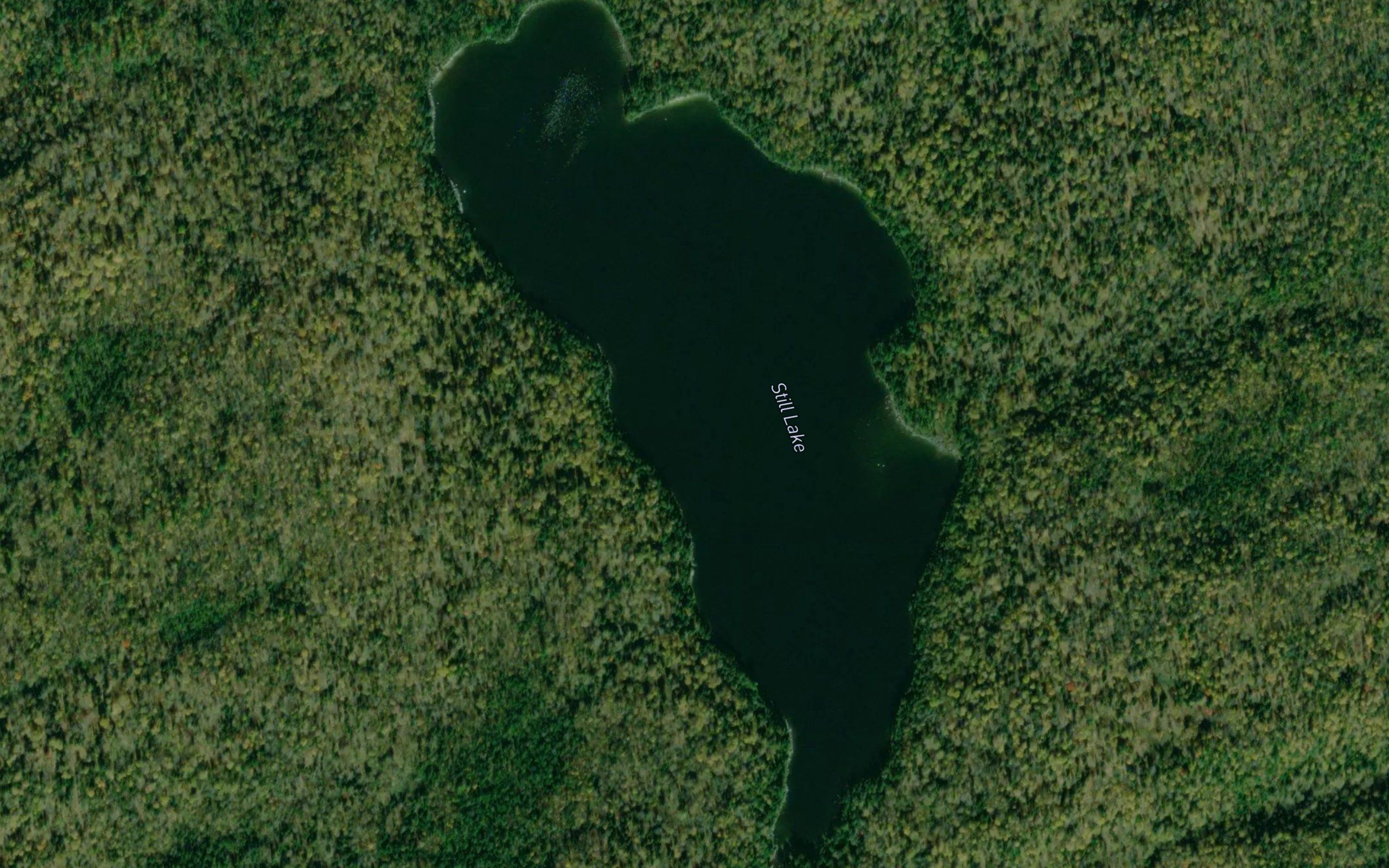 Still Lake