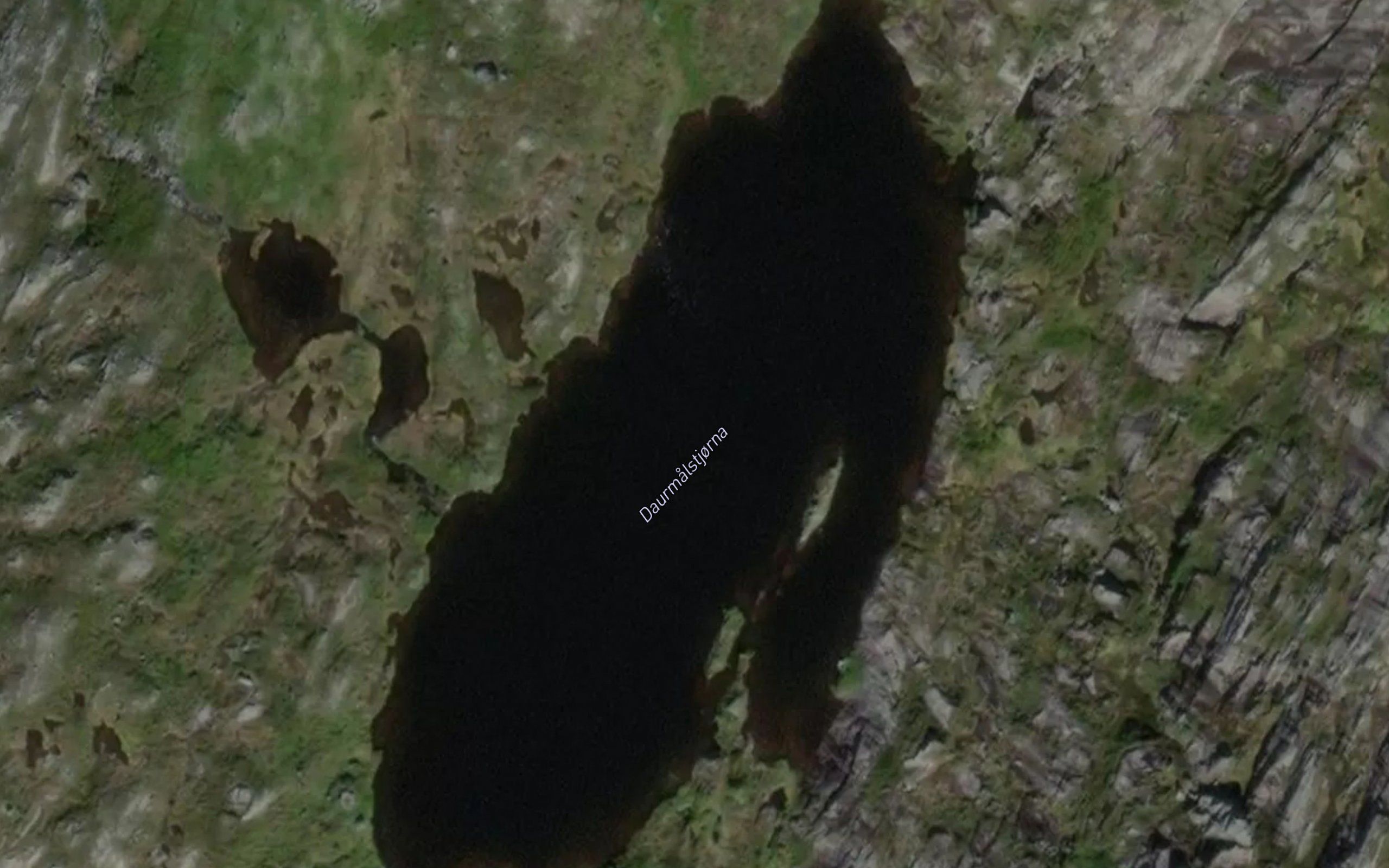 Daurmalstjorna
