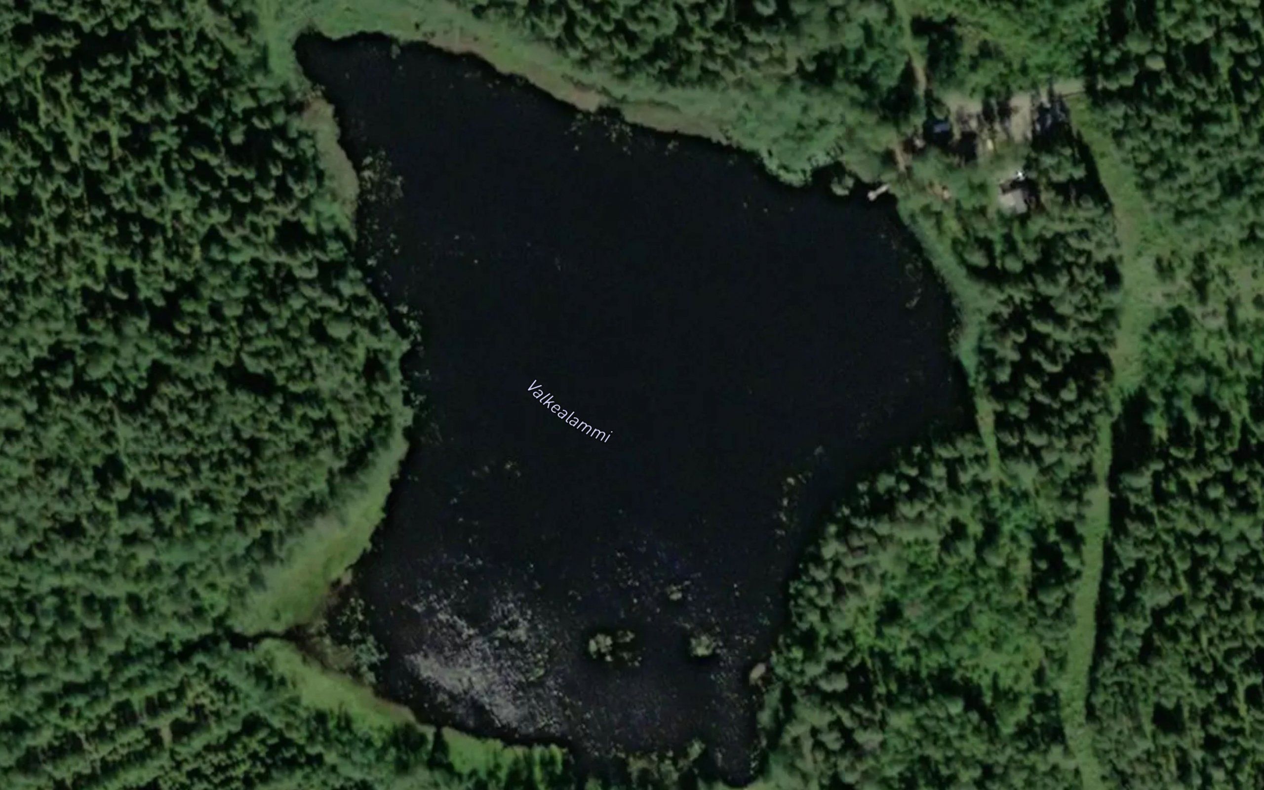 Valkealammi