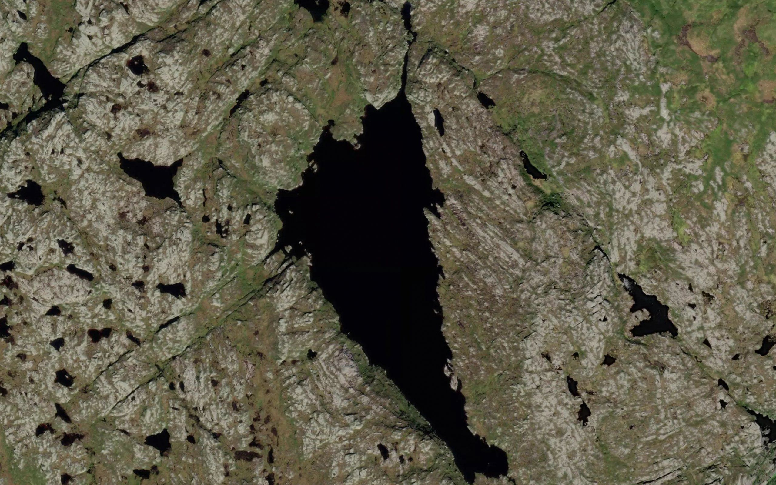 Langavatnet