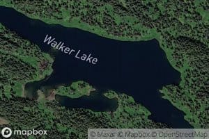 Walker Lake