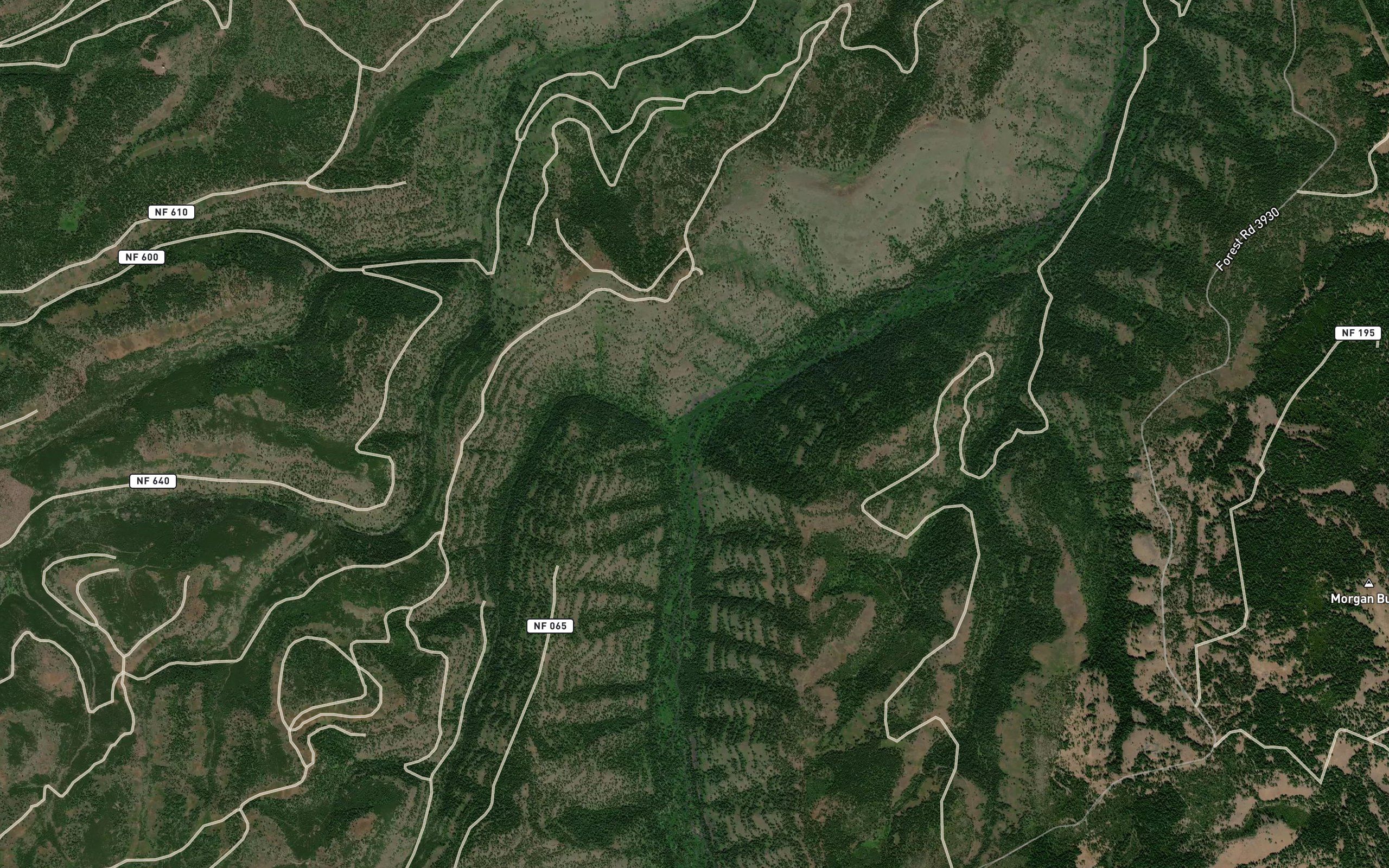 Owl Creek