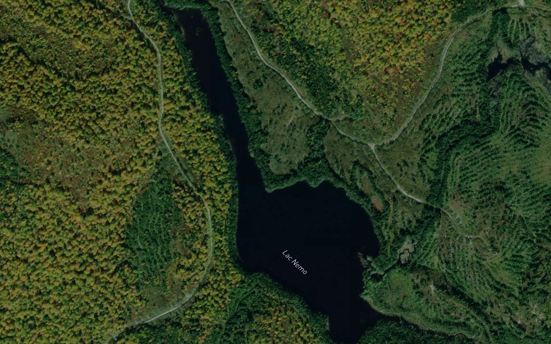 Satellite map of the Lac Nemo