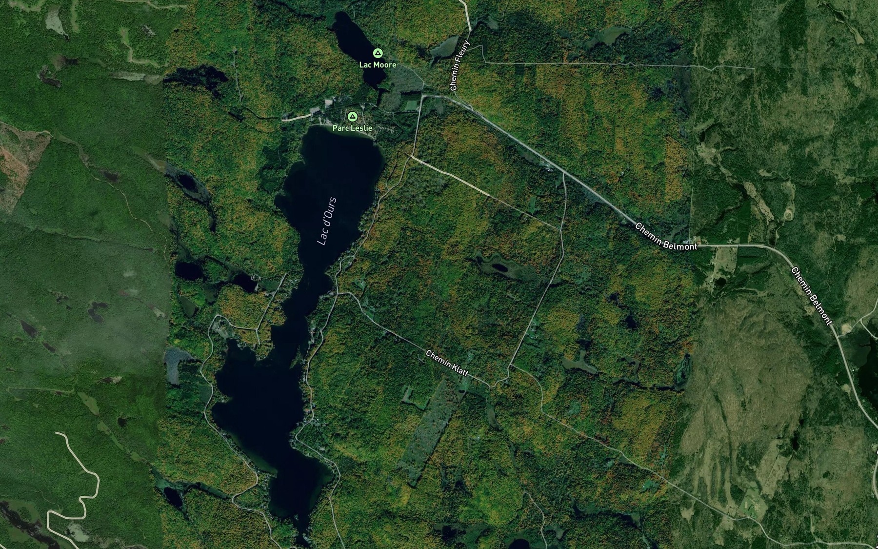 Satellite map of the Petit lac a Michel