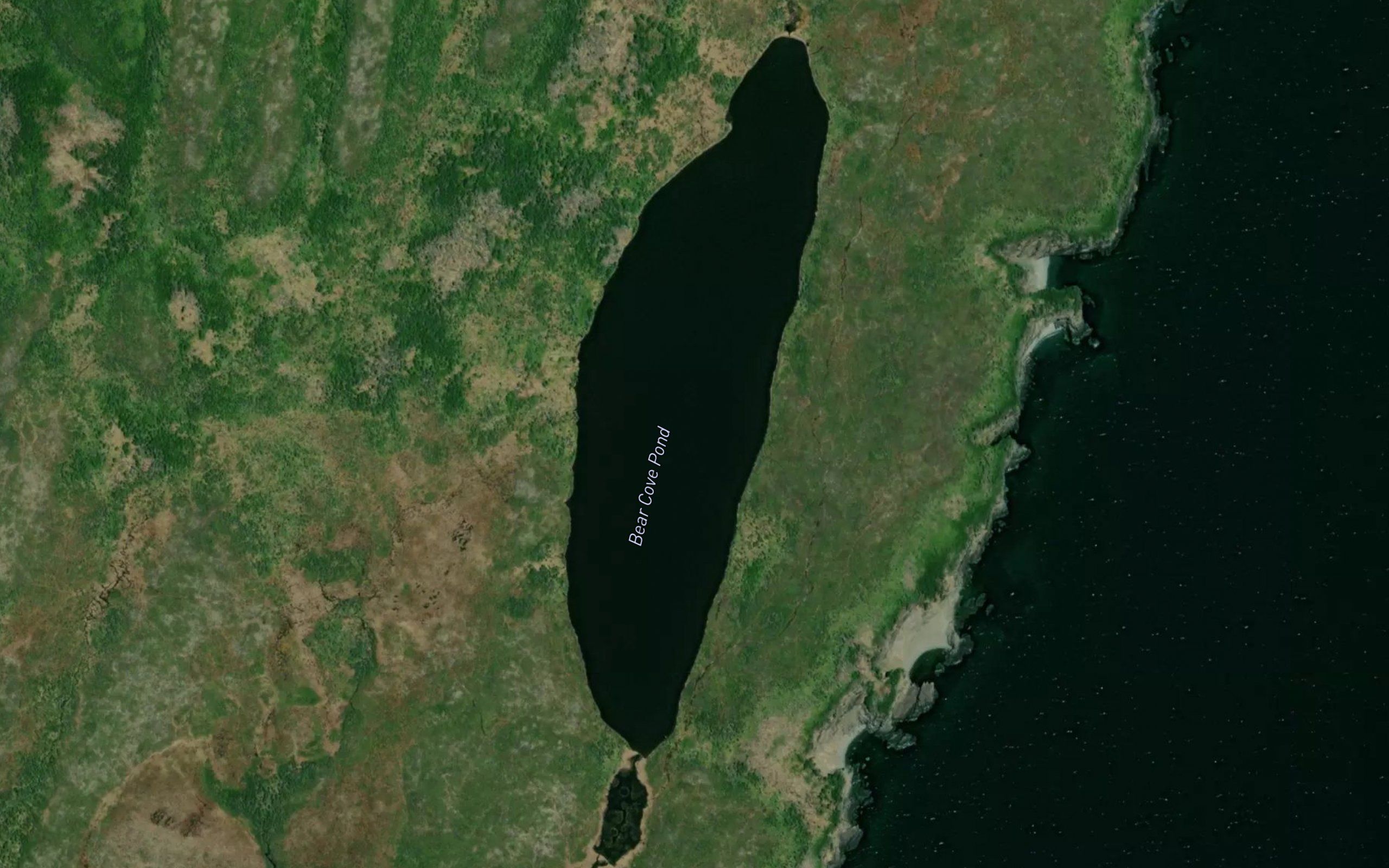 Bear Cove Pond