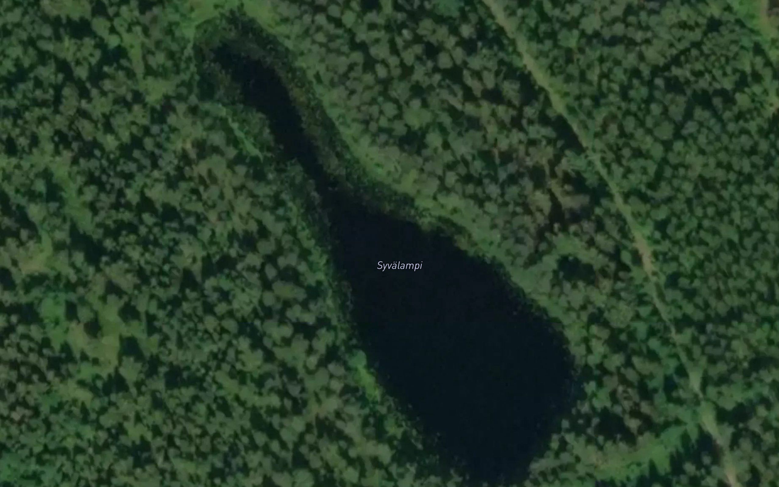 Syvalampi