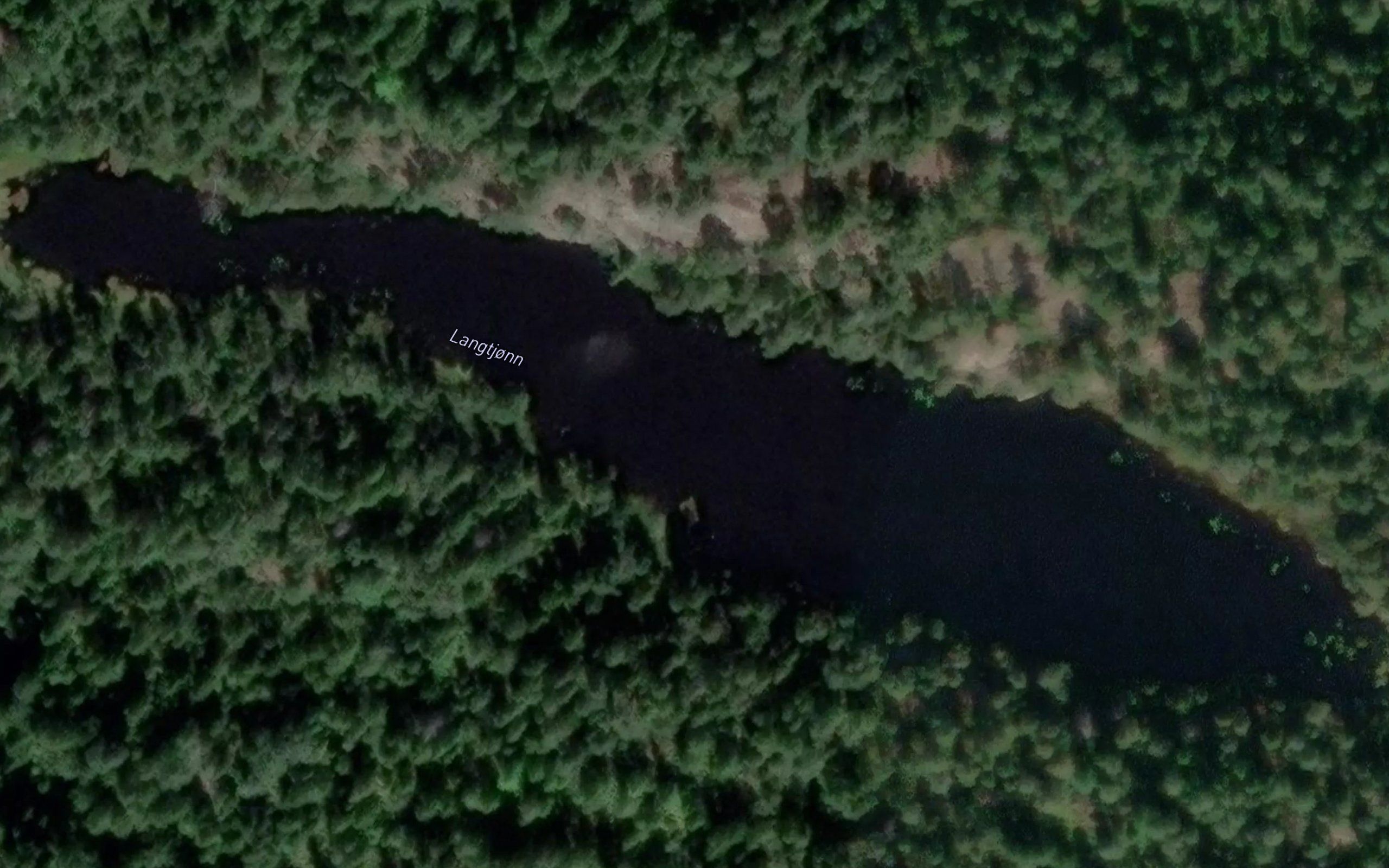 Langtjonn
