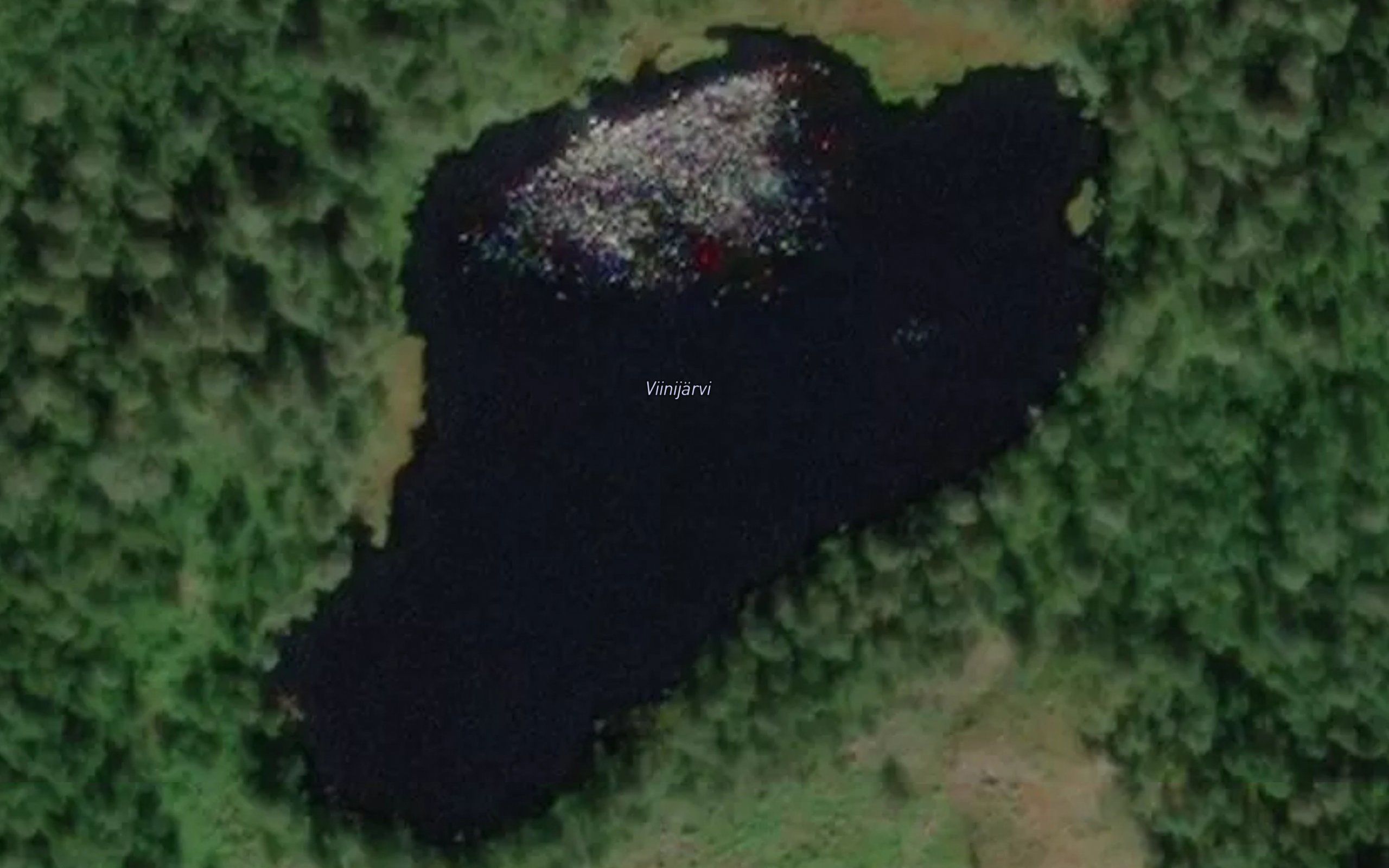 Viinijarvi