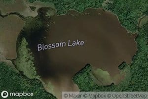 Blossom Lake
