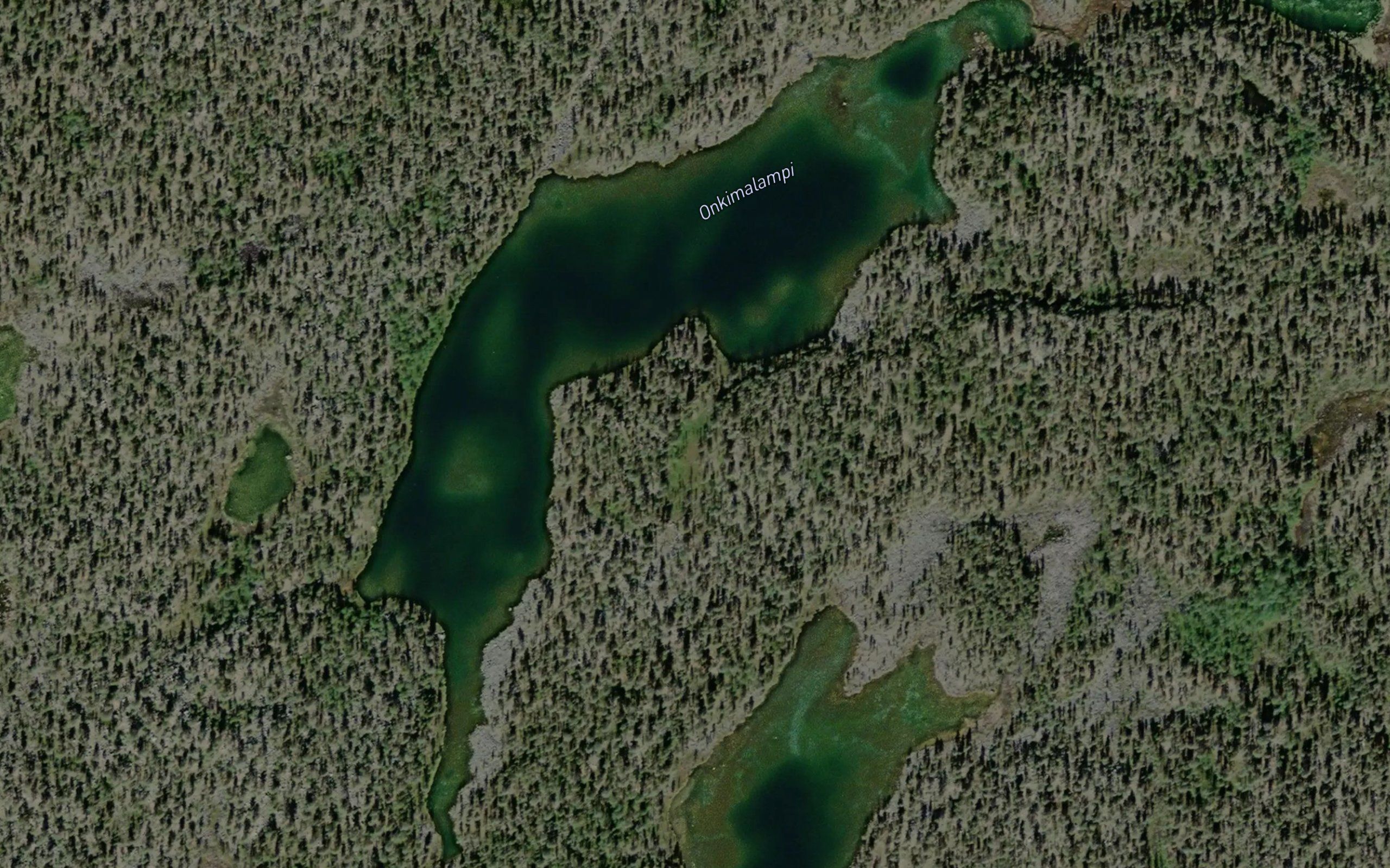 Onkimalampi