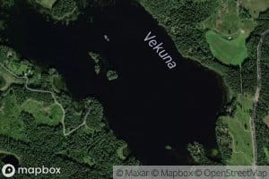 Vekuna
