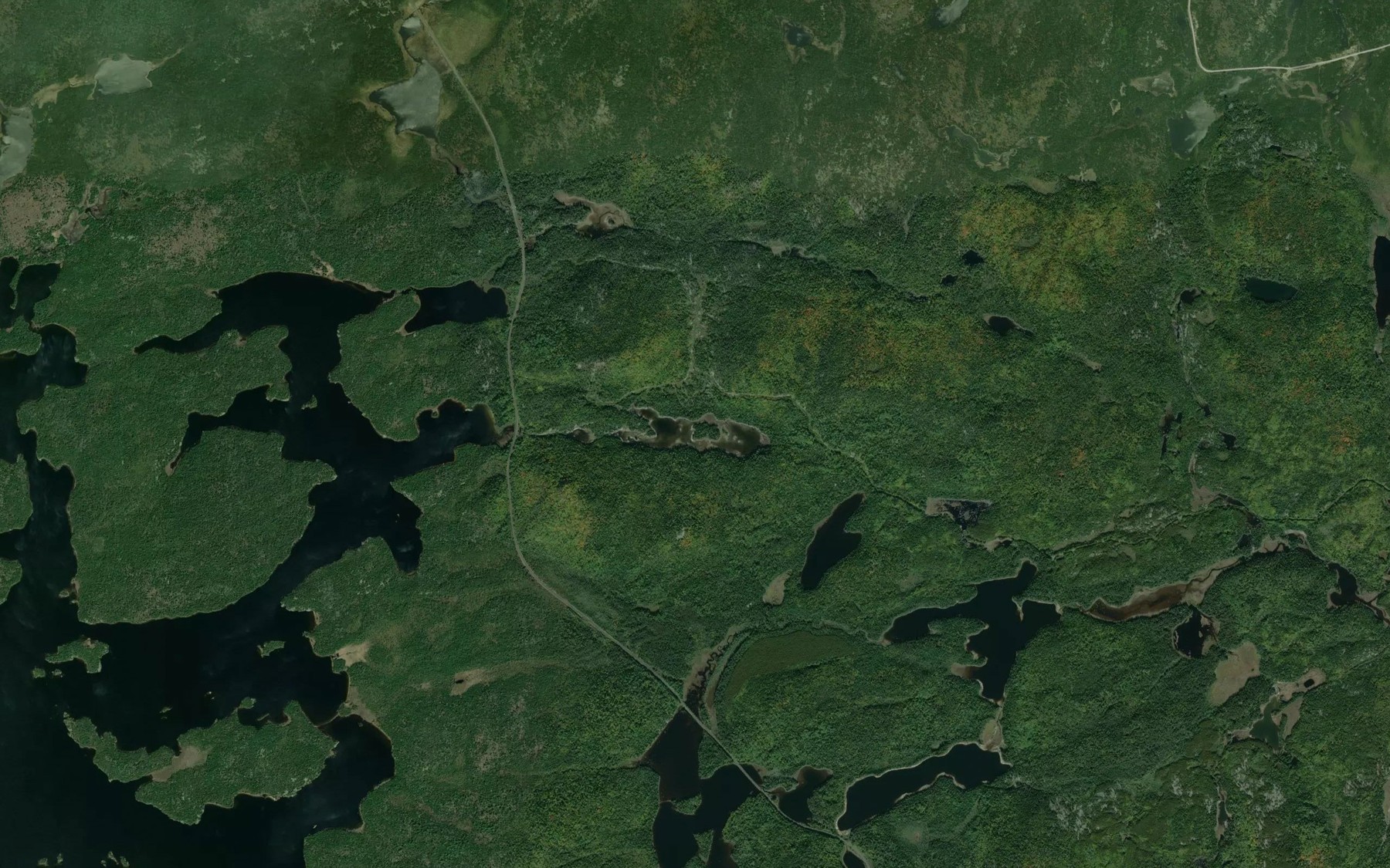 Satellite map of the Milton Lake