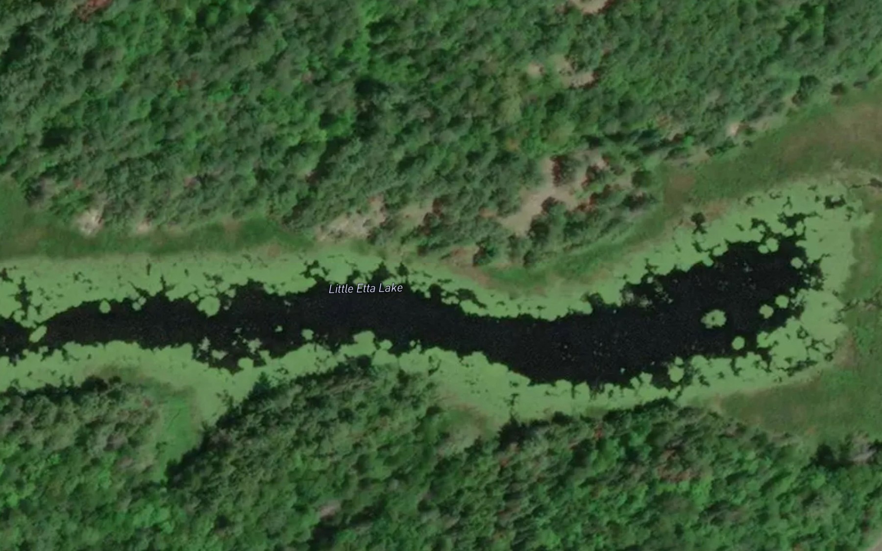 Satellite map of the Little Etta Lake