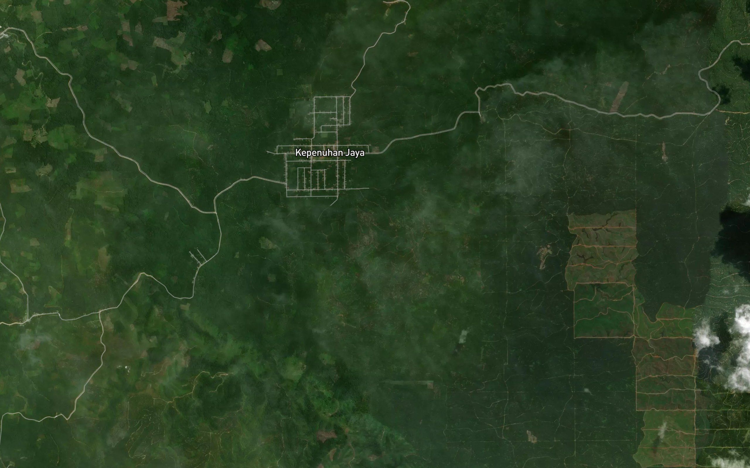 Sungai Ngamun